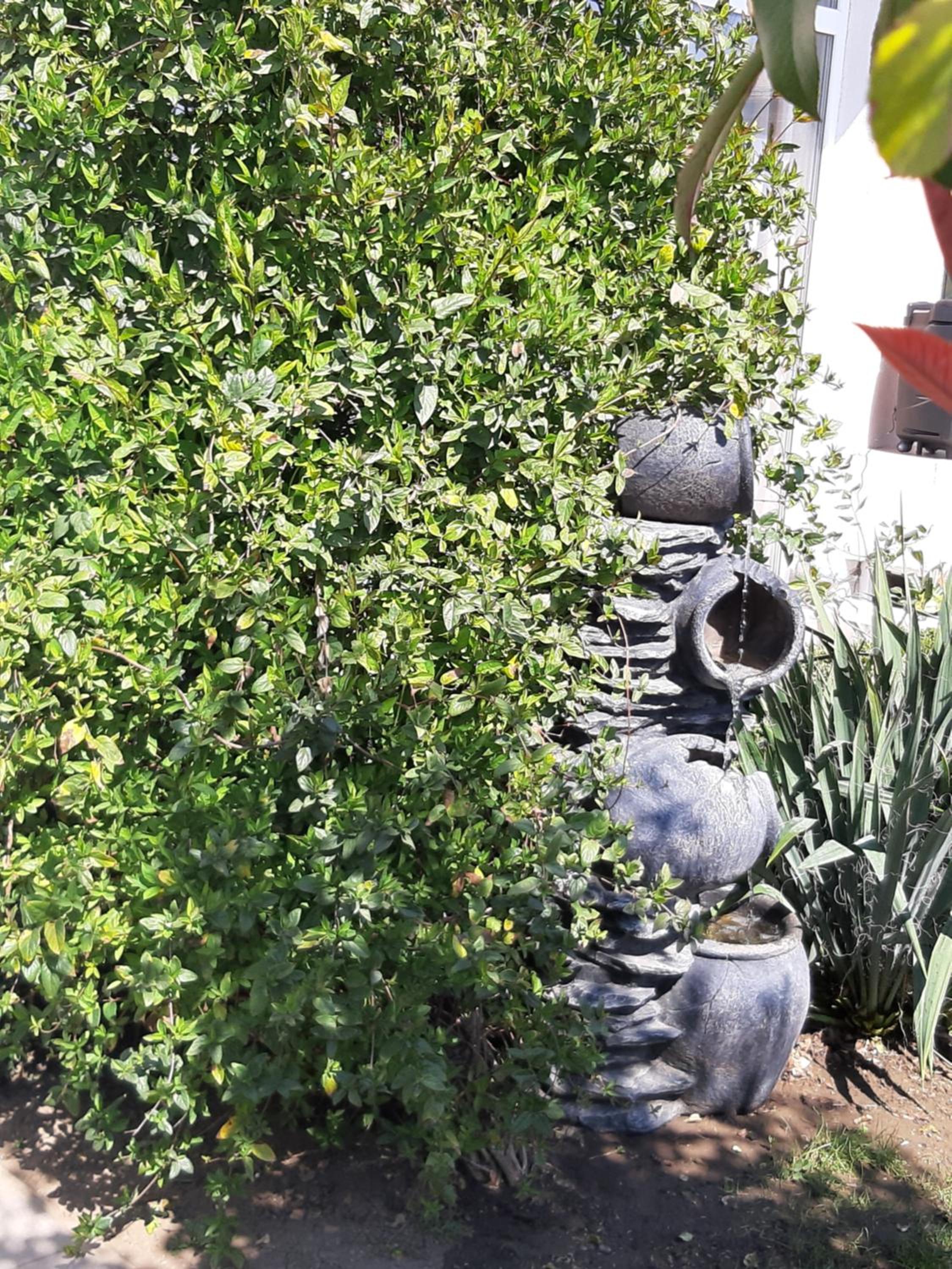Photo 46