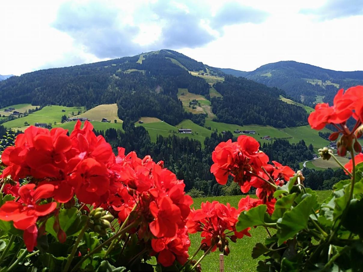 Aussermooserhof