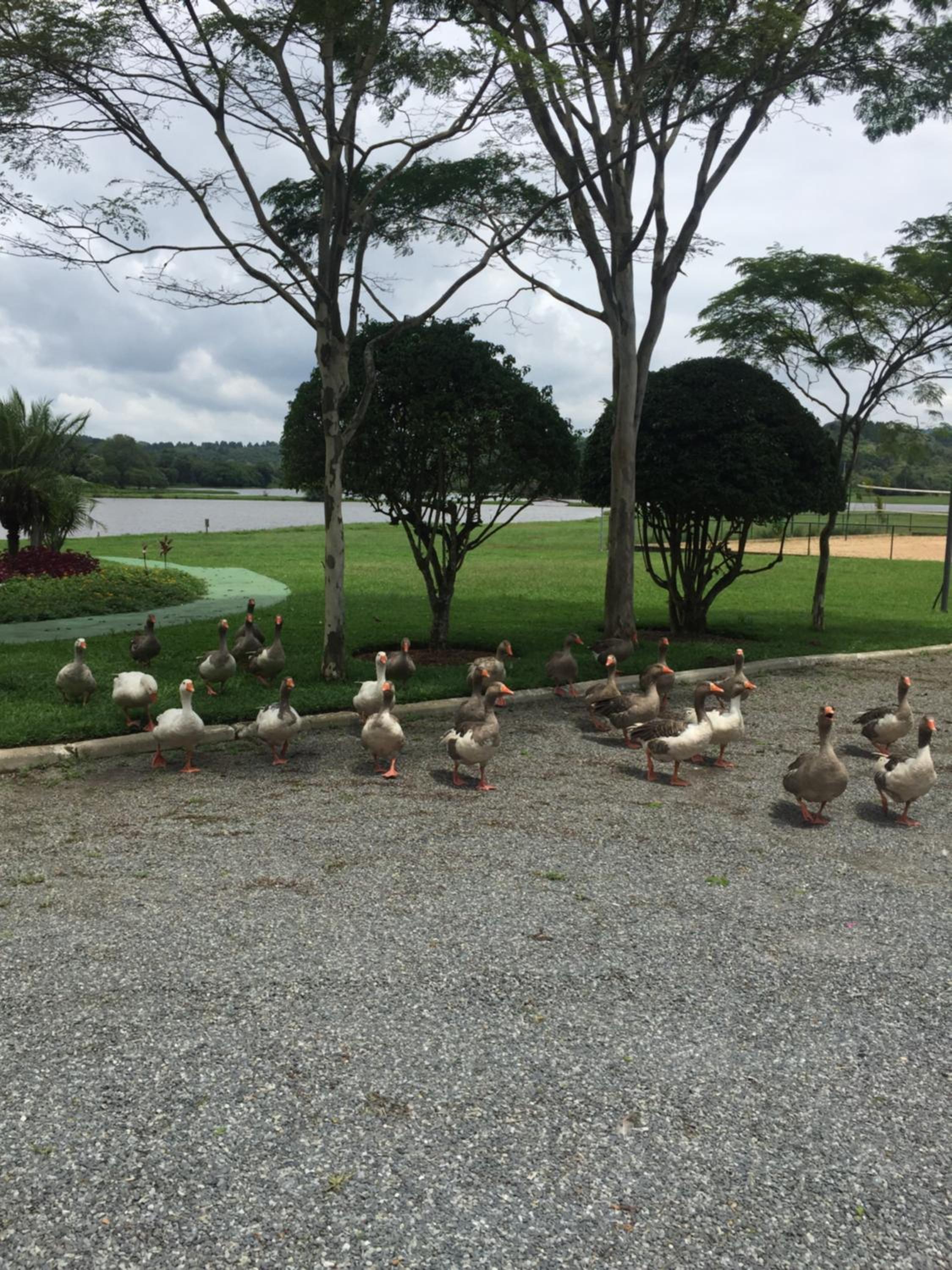 Casa alto padrão em condomínio fechado - São Roque