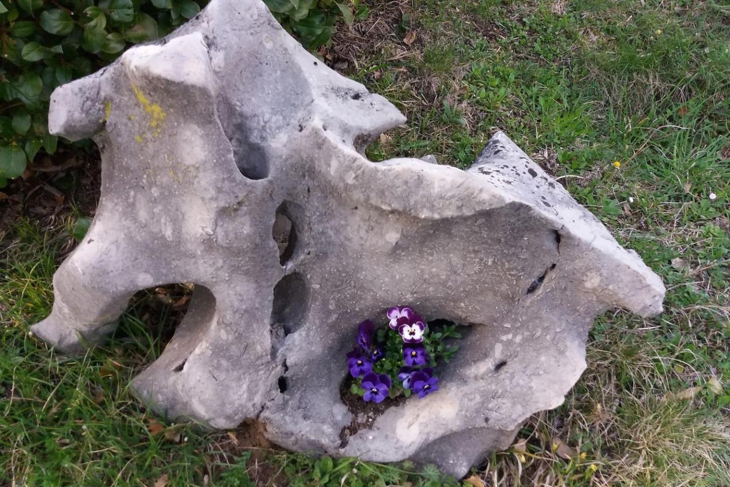 Photo 26