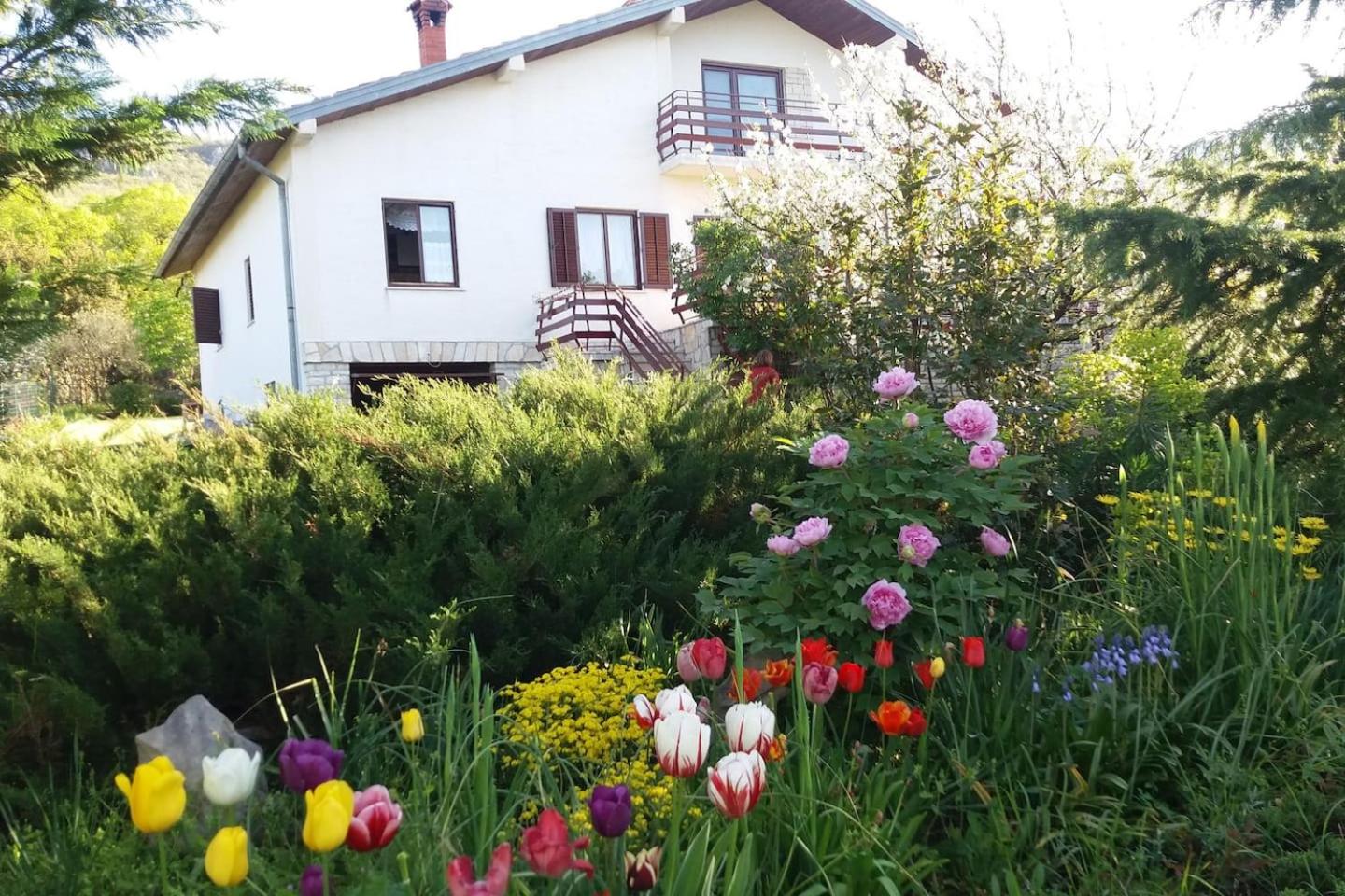 Photo 27