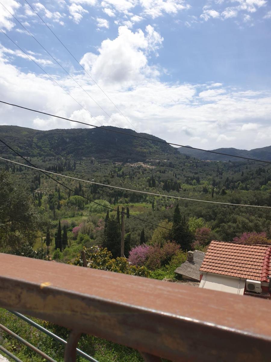Norina's House photo 1