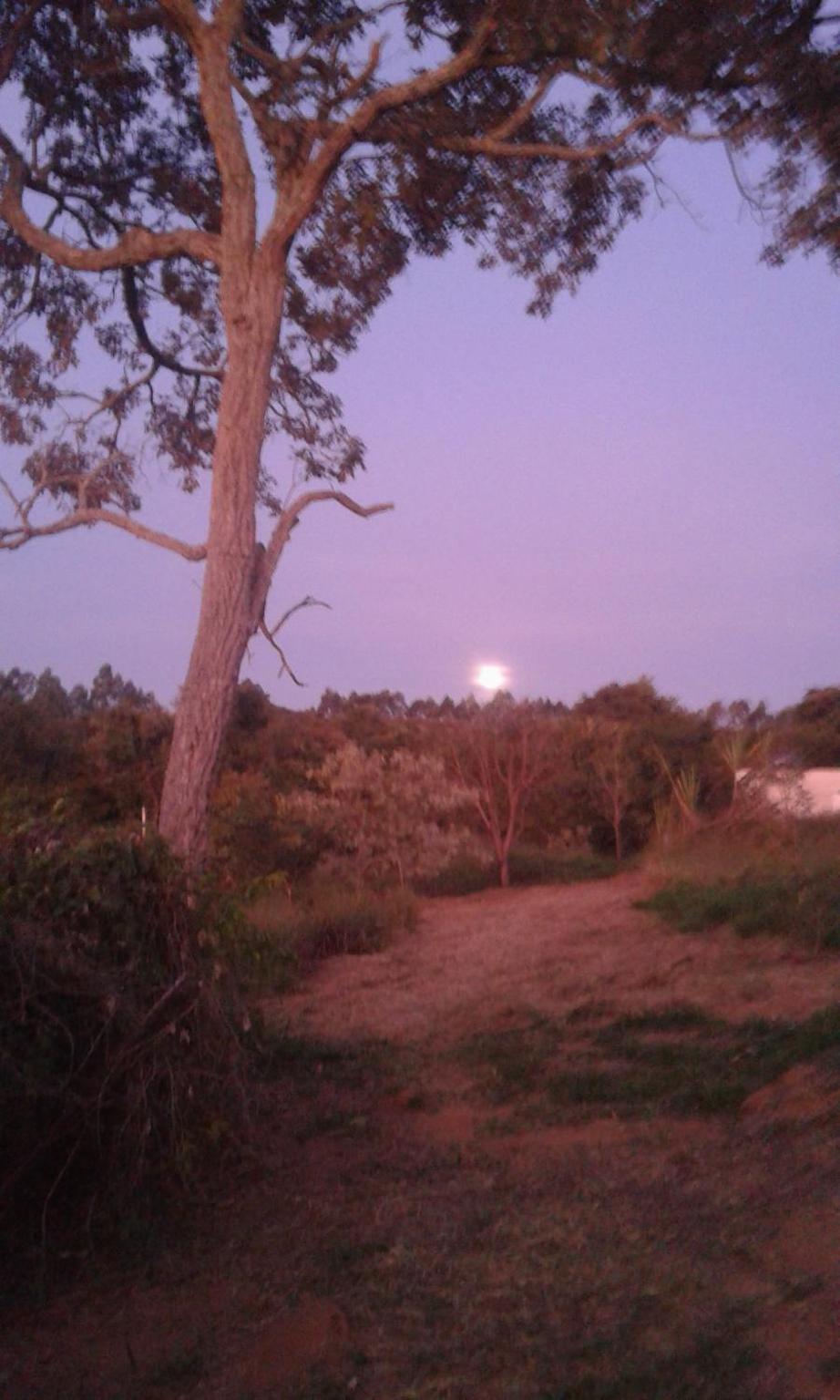 Pousada Natureza