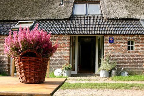 Bed and Breakfast Annen view 4