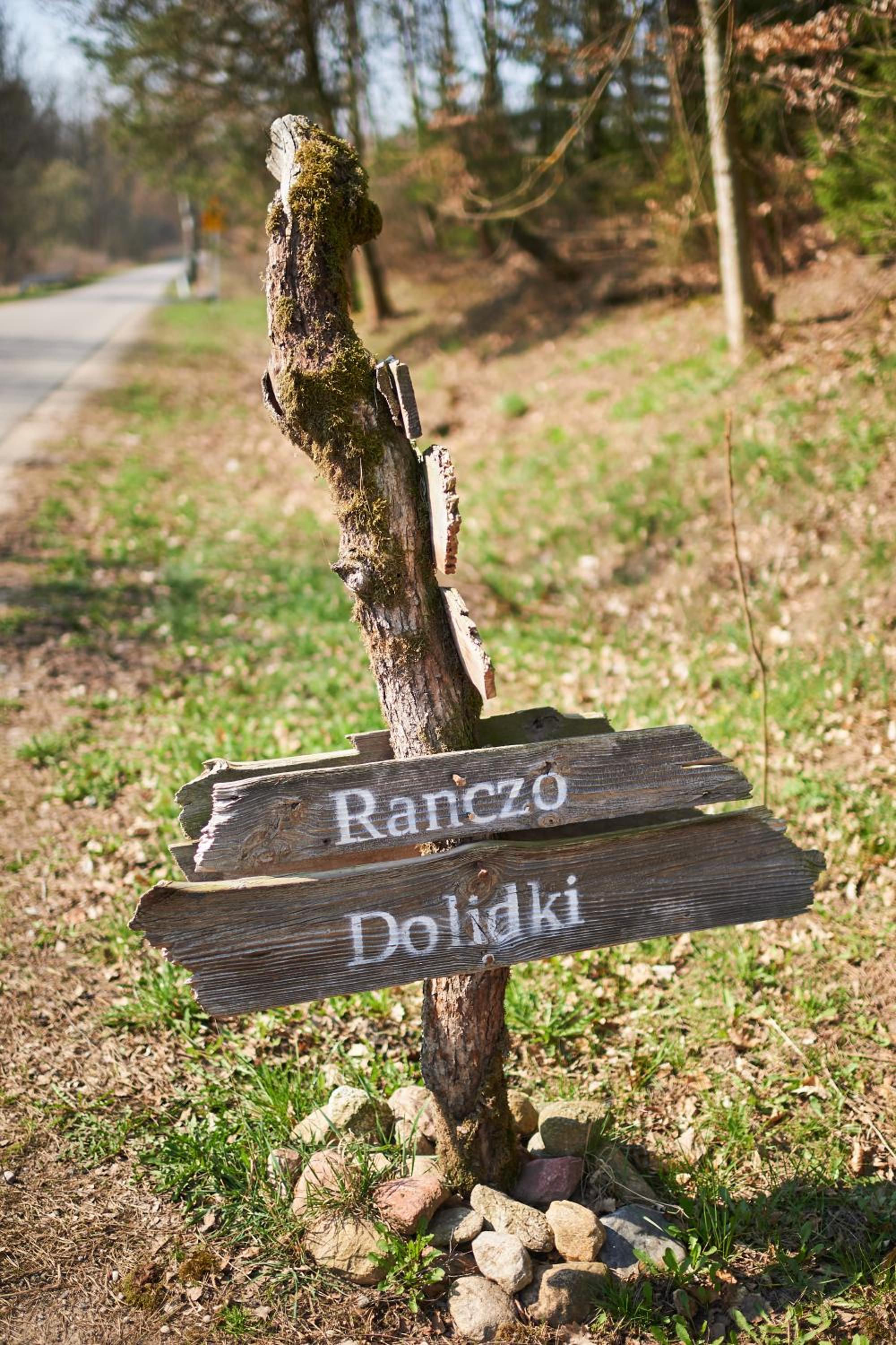 Photo 48