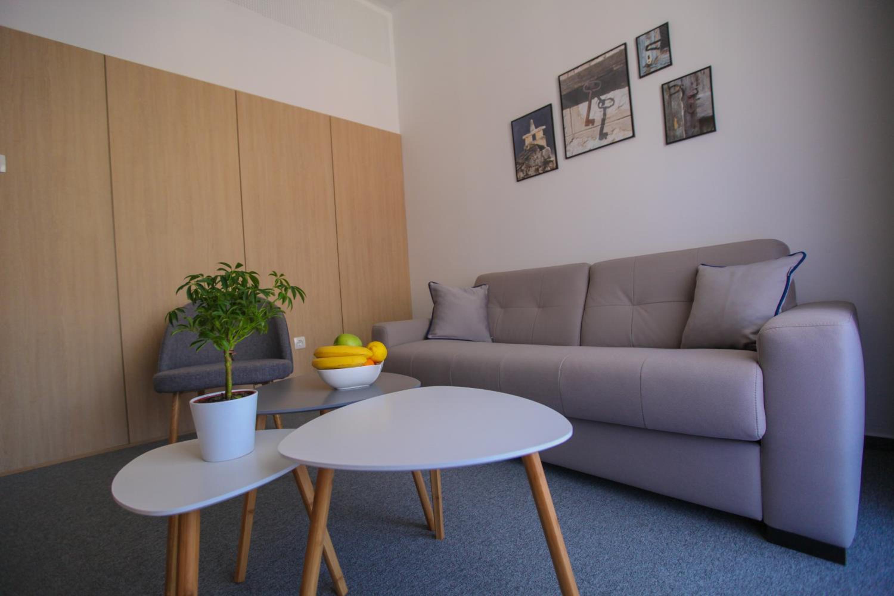 Luxury Apartments Taša