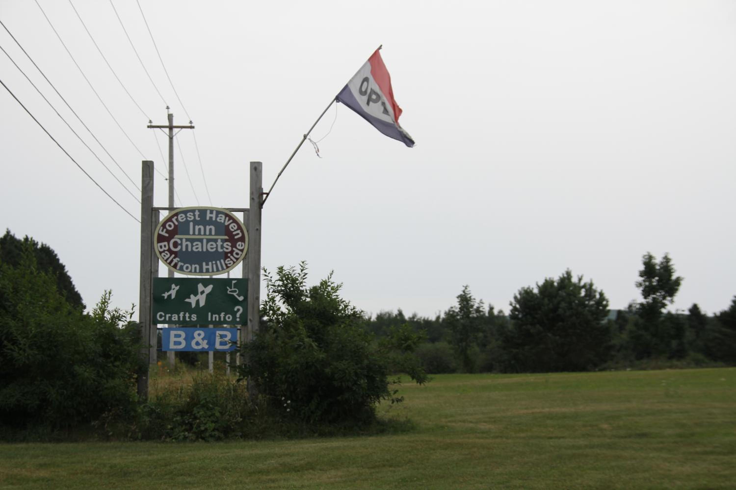 Forest Haven Inn