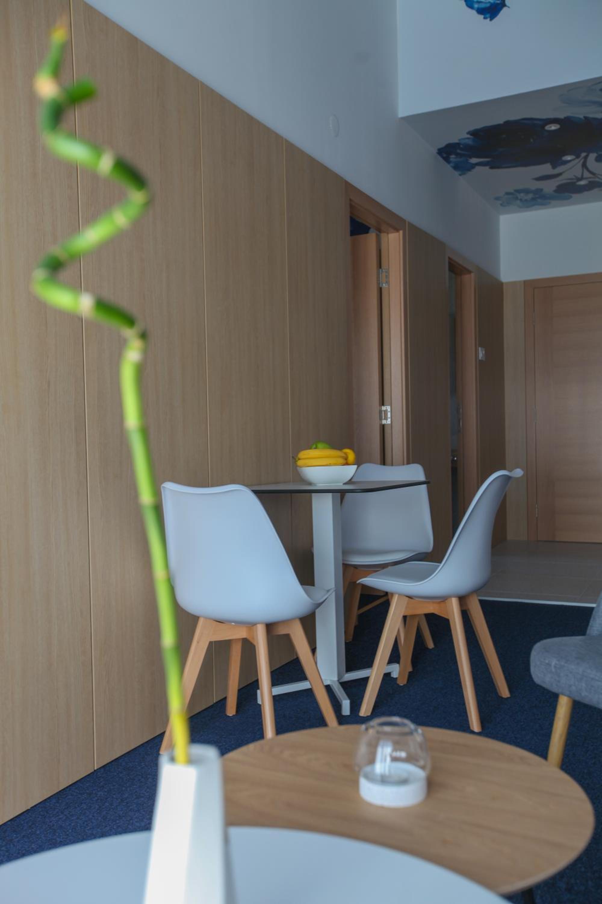 Luxury Apartments Taša