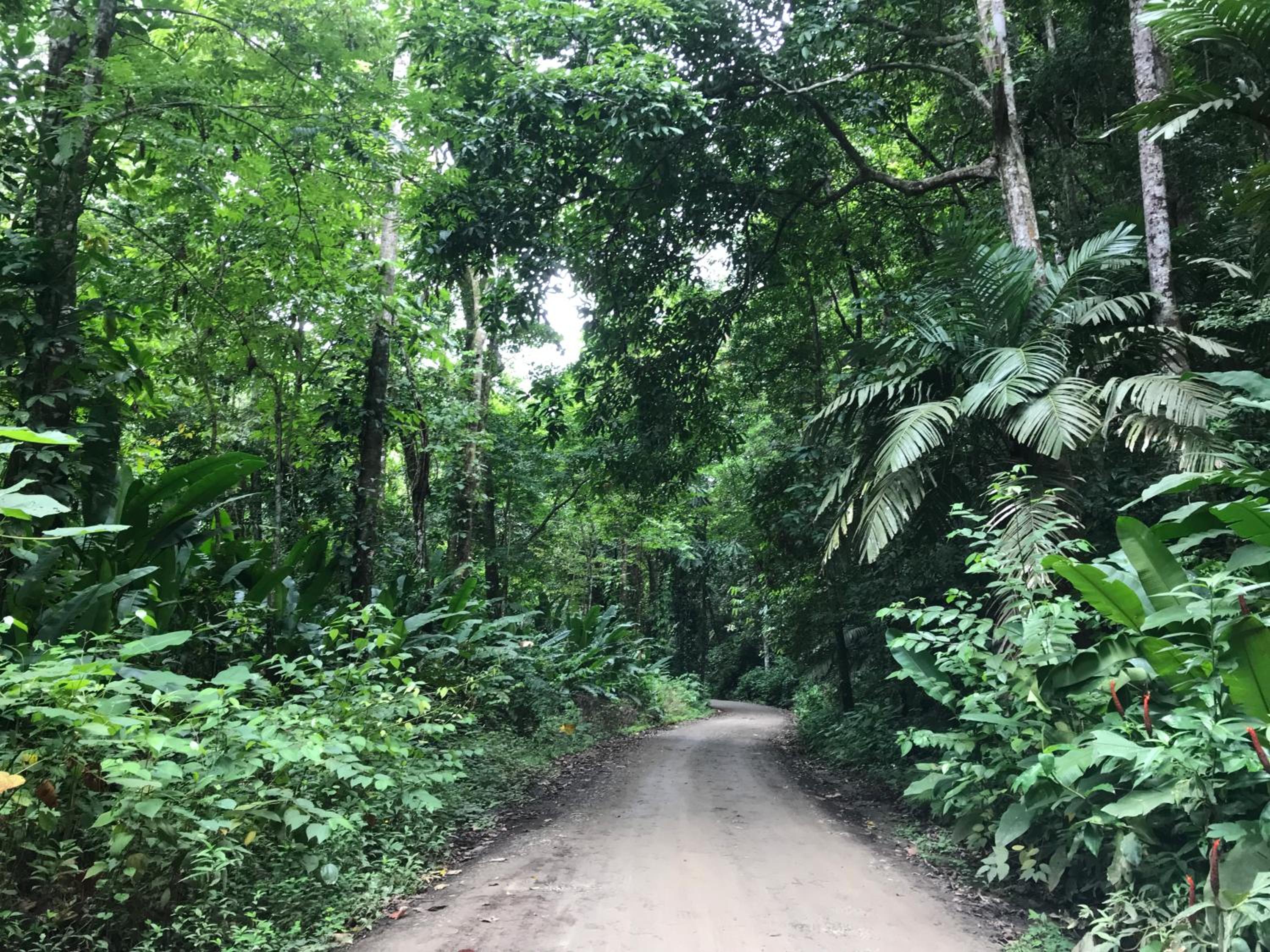 Bambura Hermosa villas