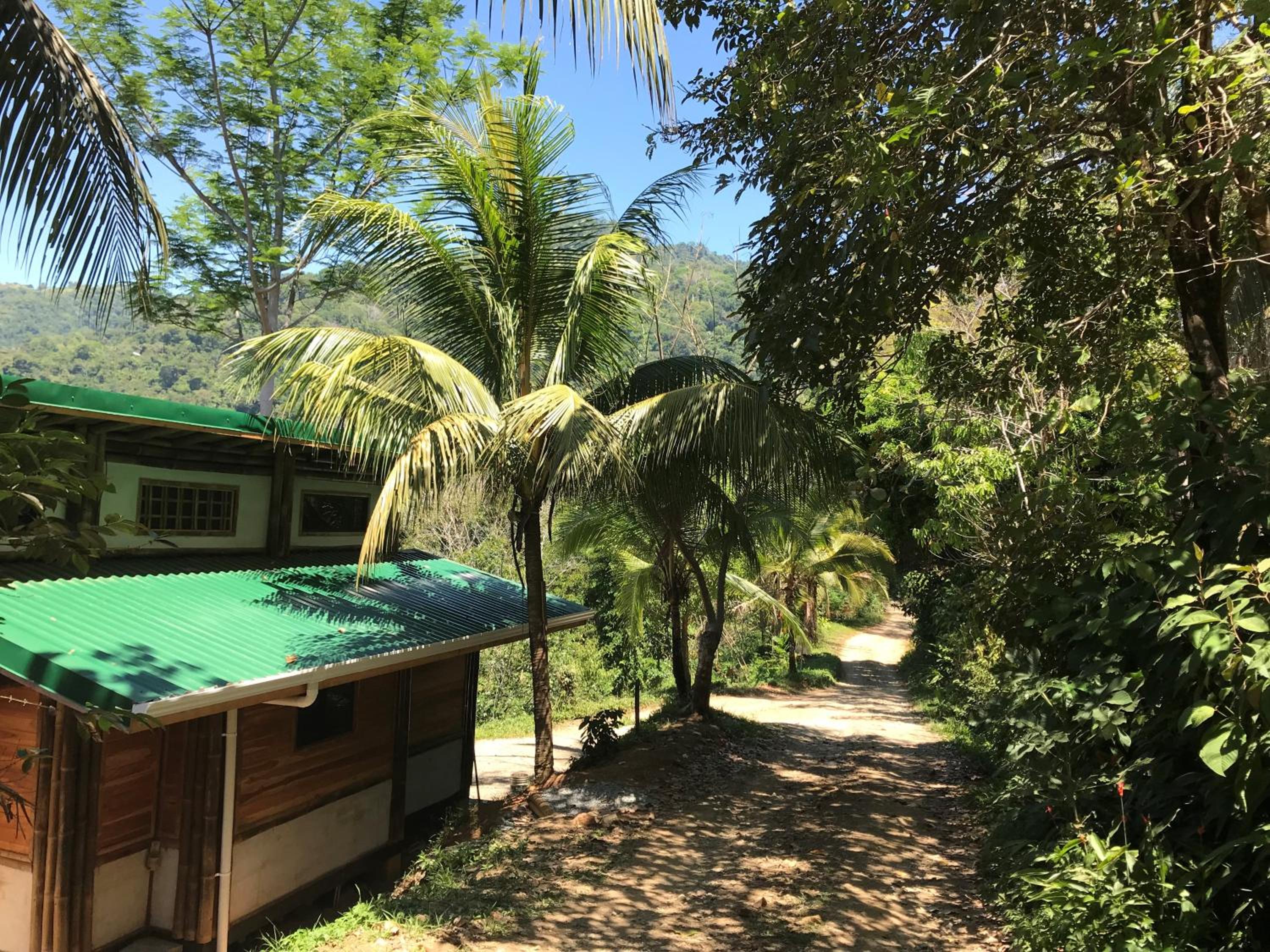 Bambura Hermosa villas
