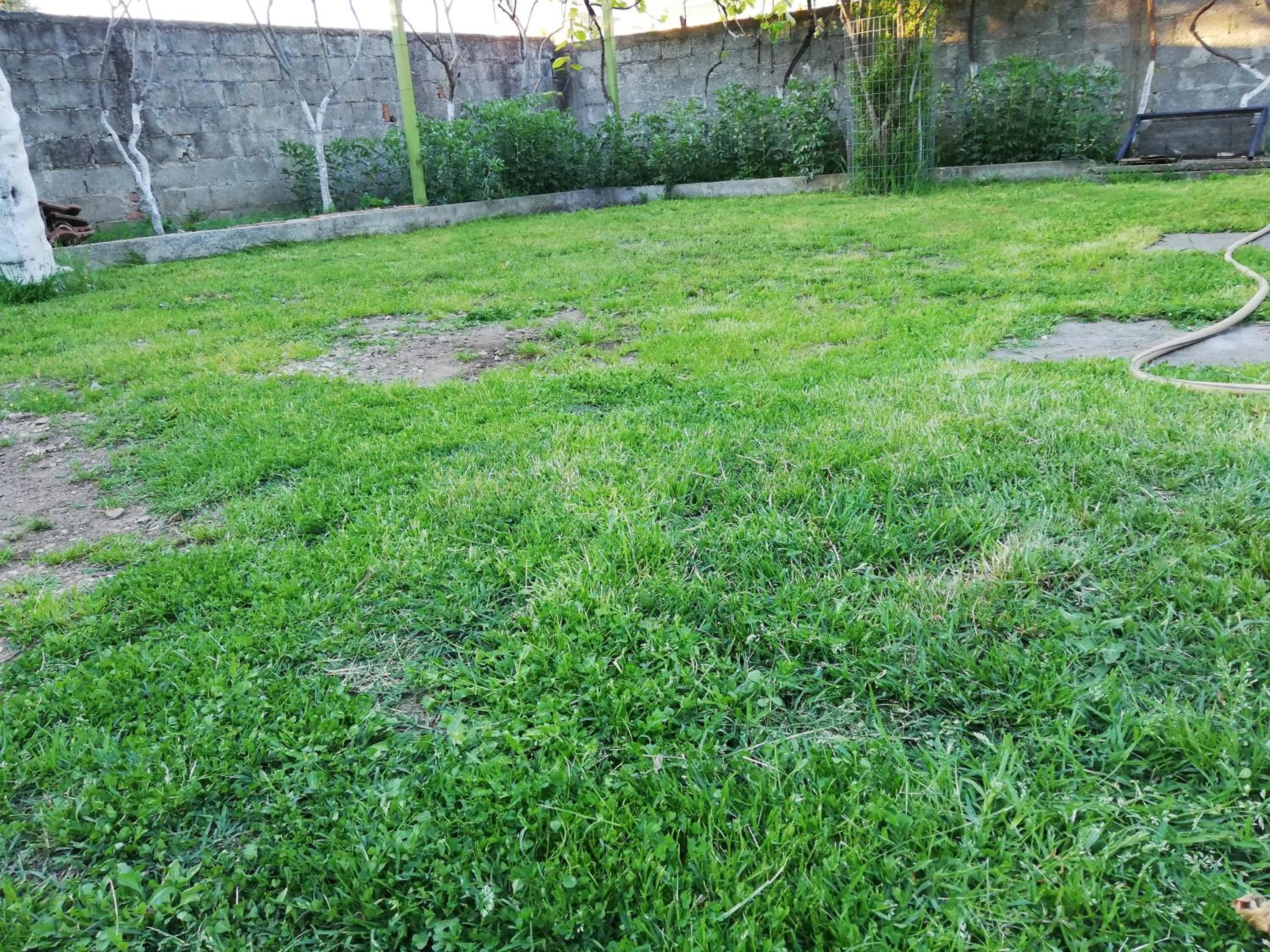 Villa Osmani