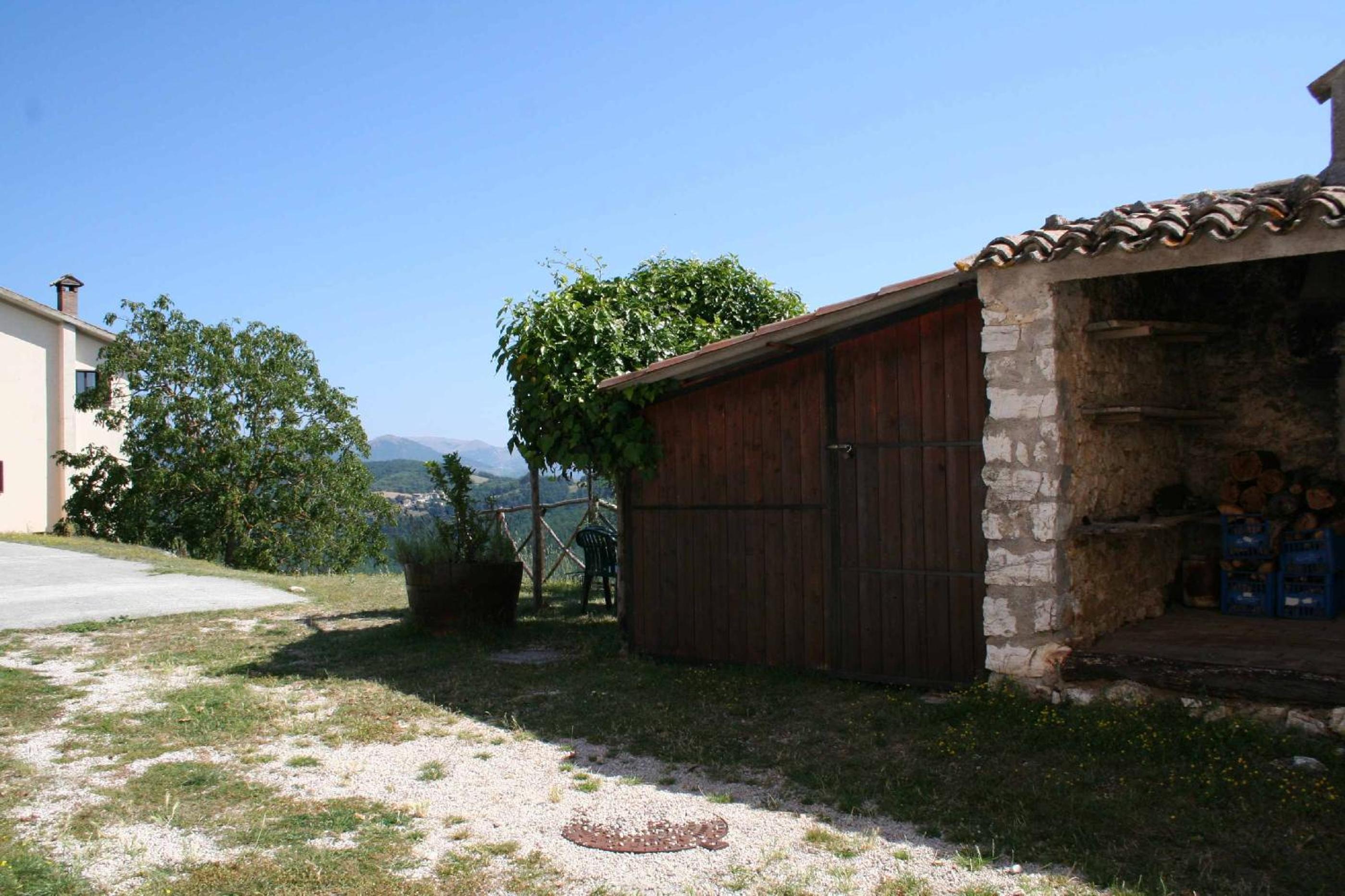 Photo 43