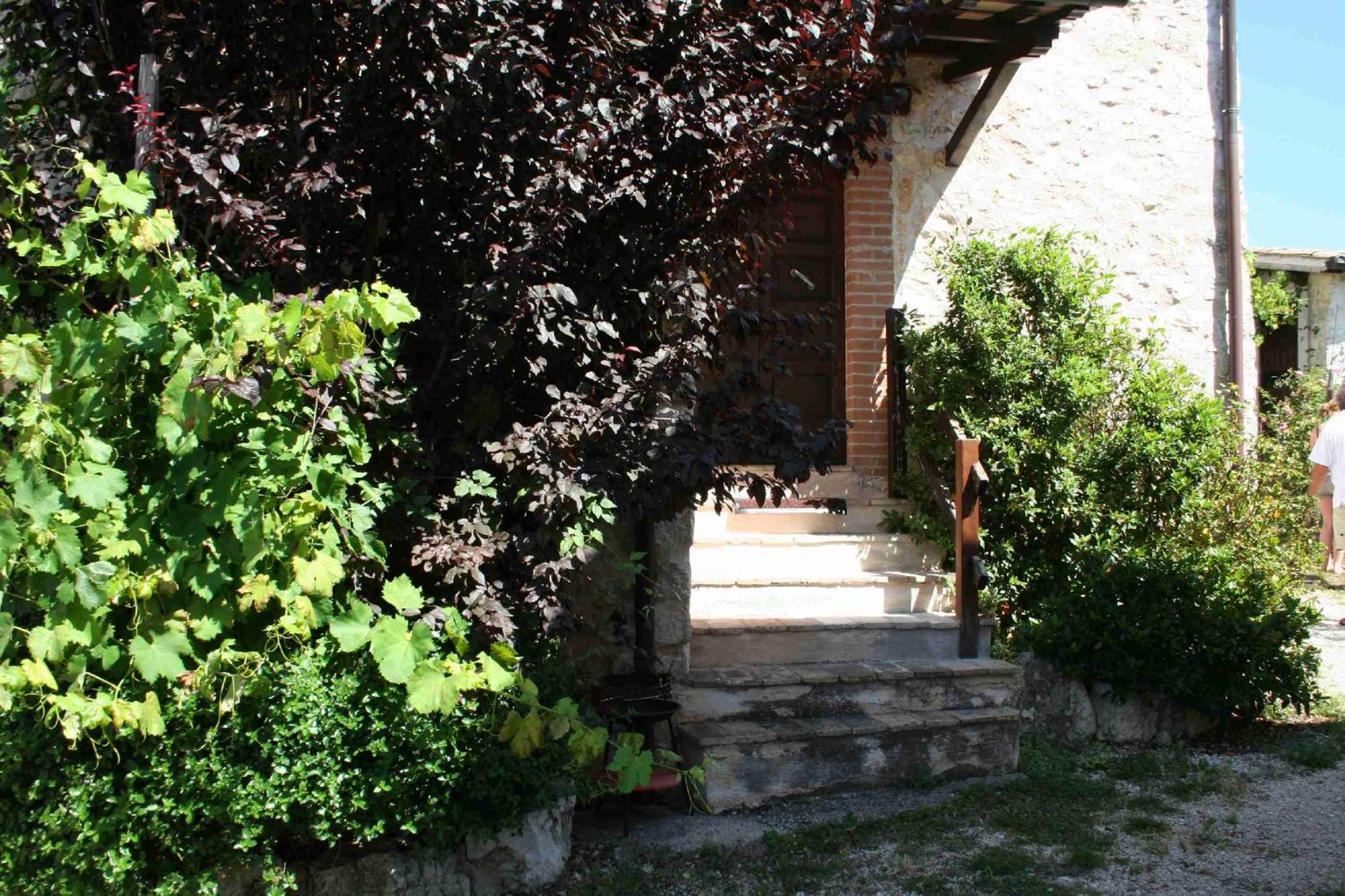 Photo 46