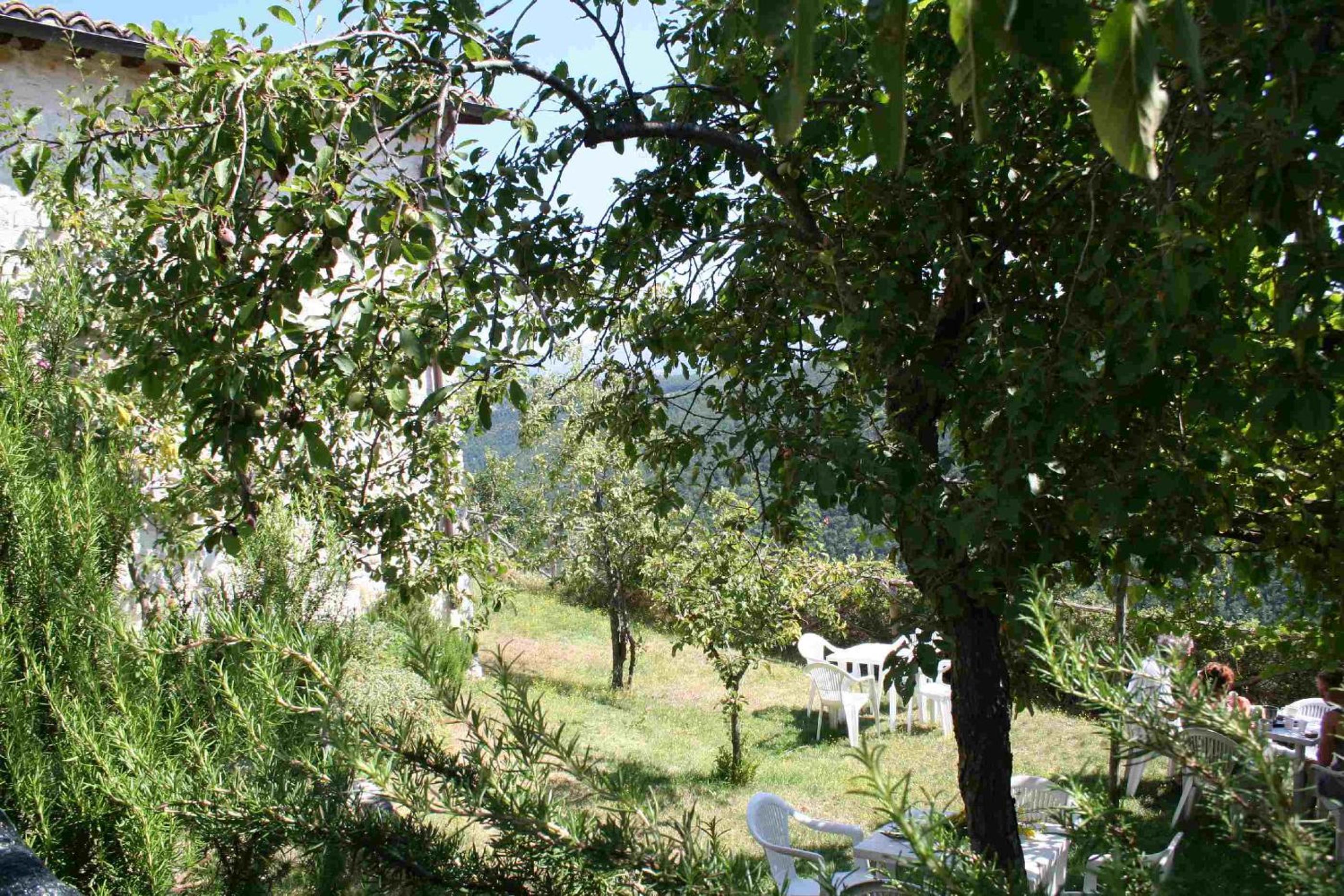 Photo 47