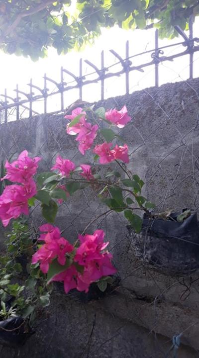 Photo 32