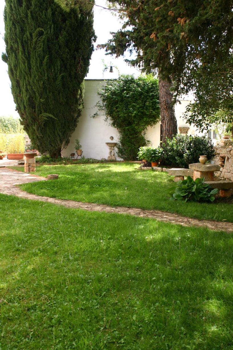 Photo 31
