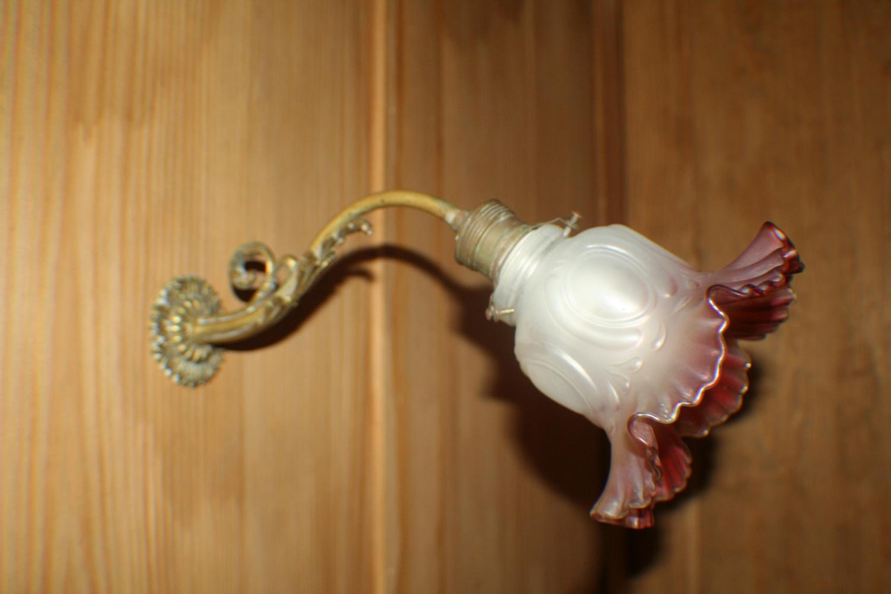 Photo 48