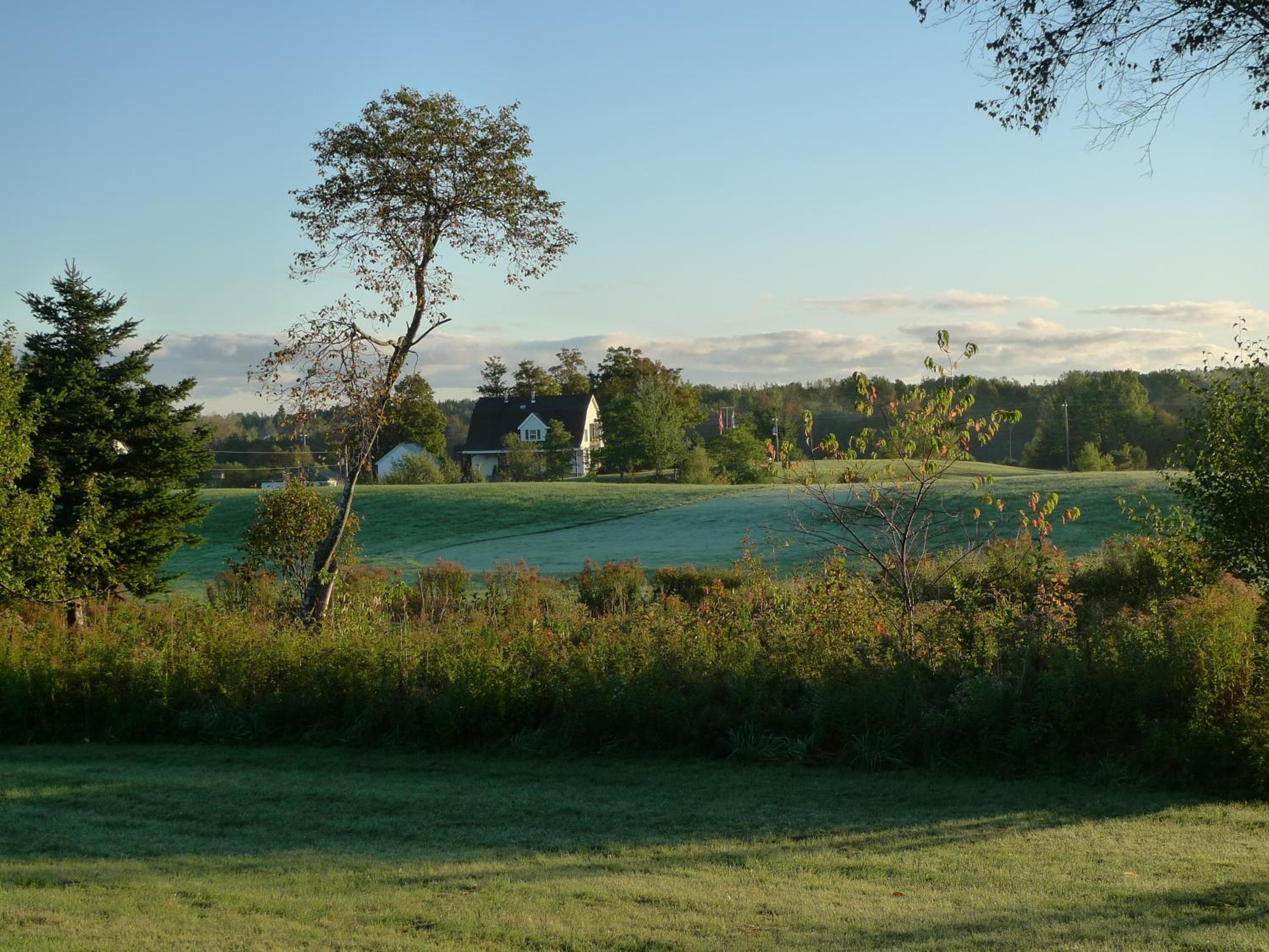 Forest Haven Inn