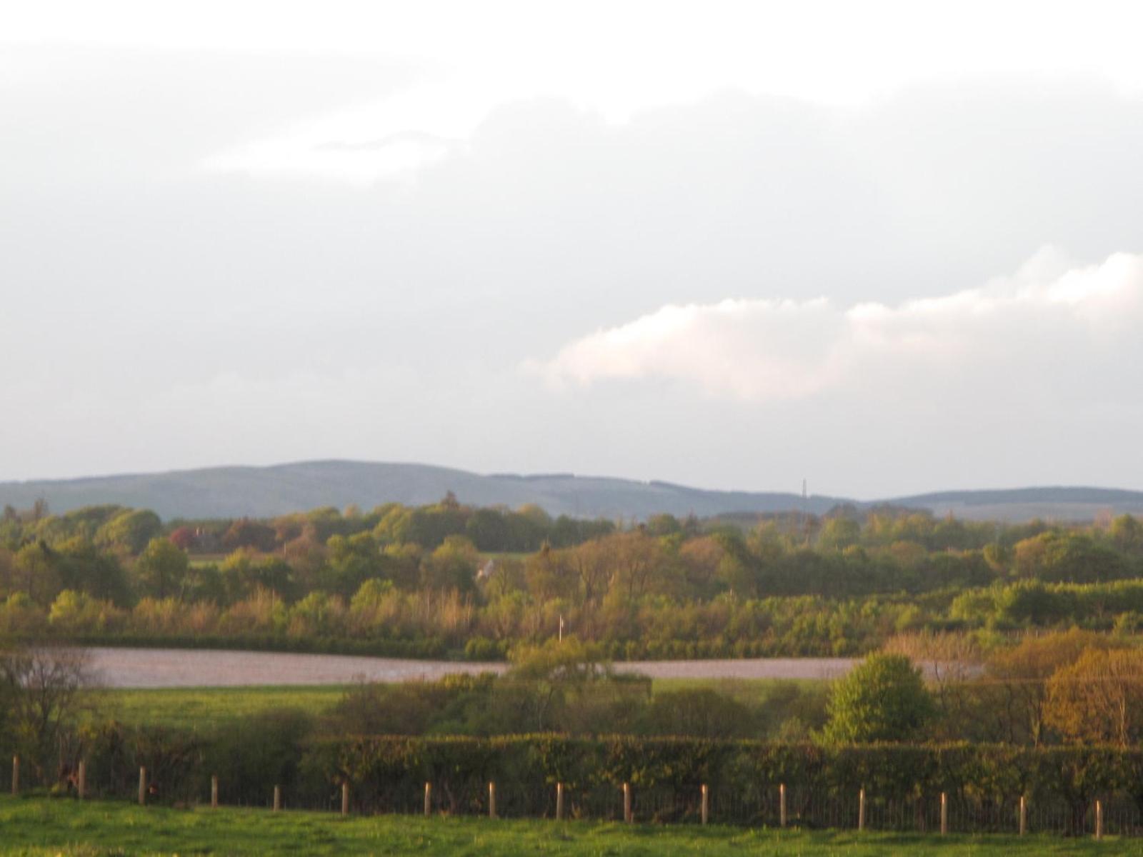 Photo 44