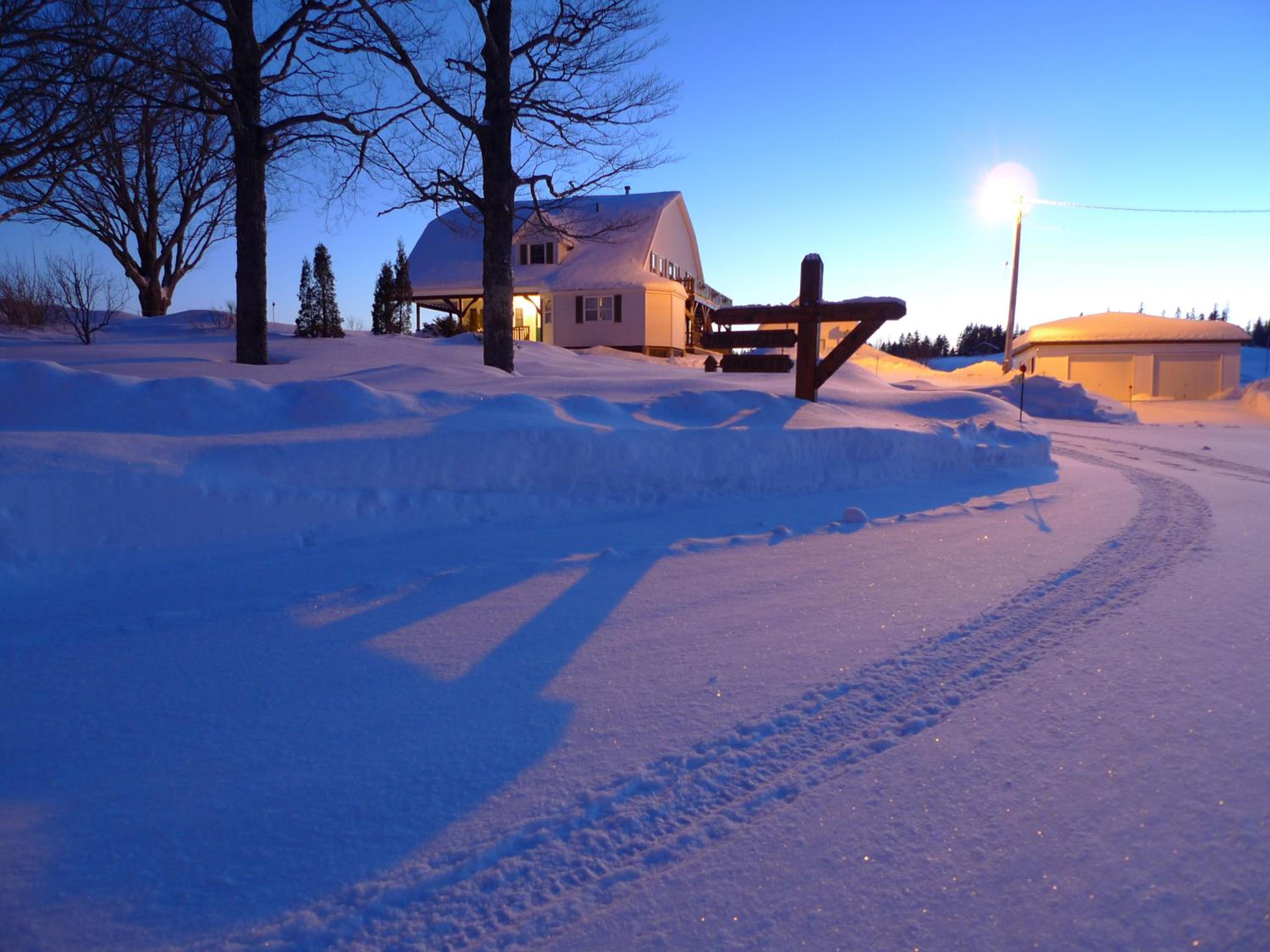 Forest Haven Inn