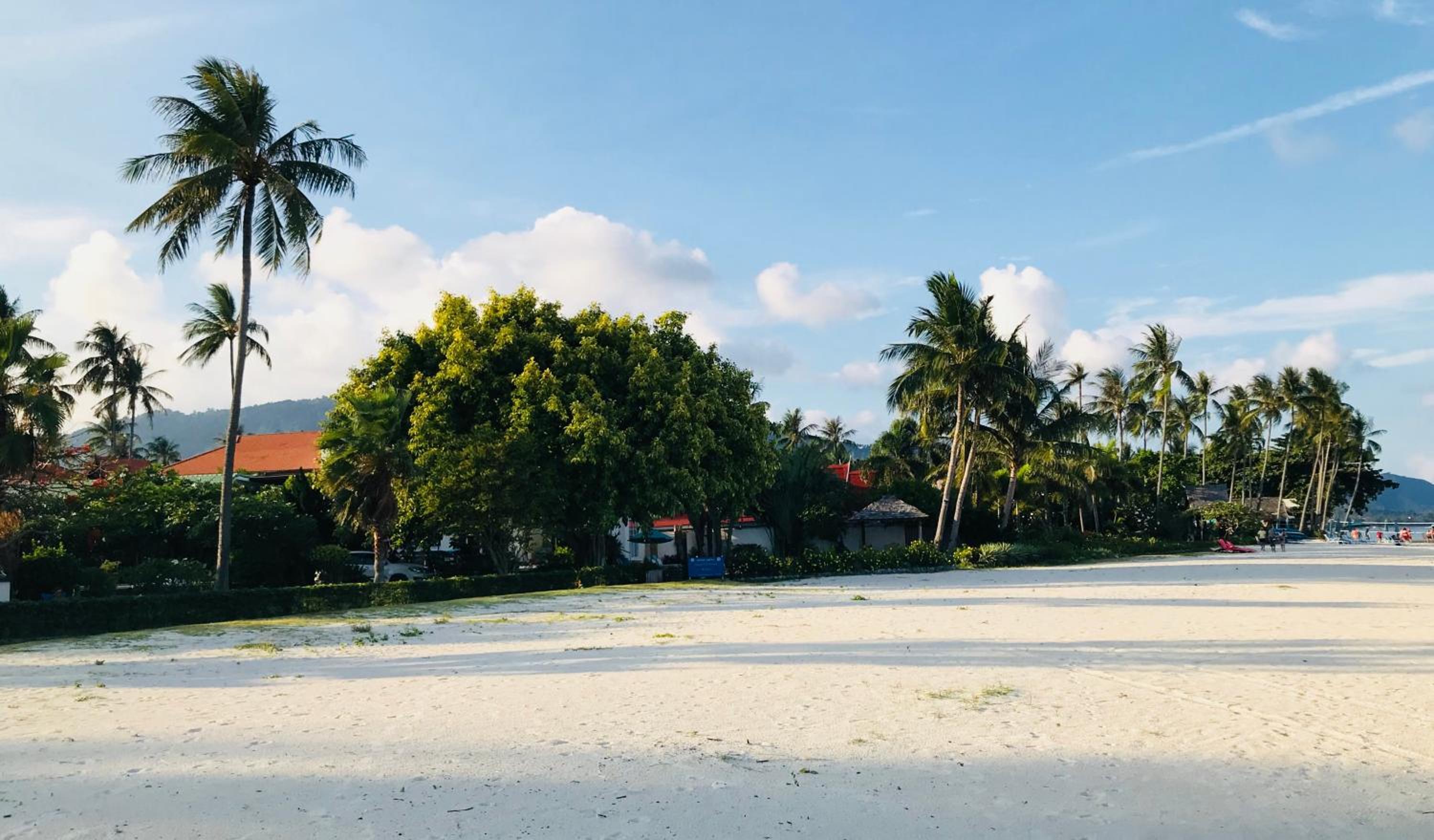 White House Near The Beach