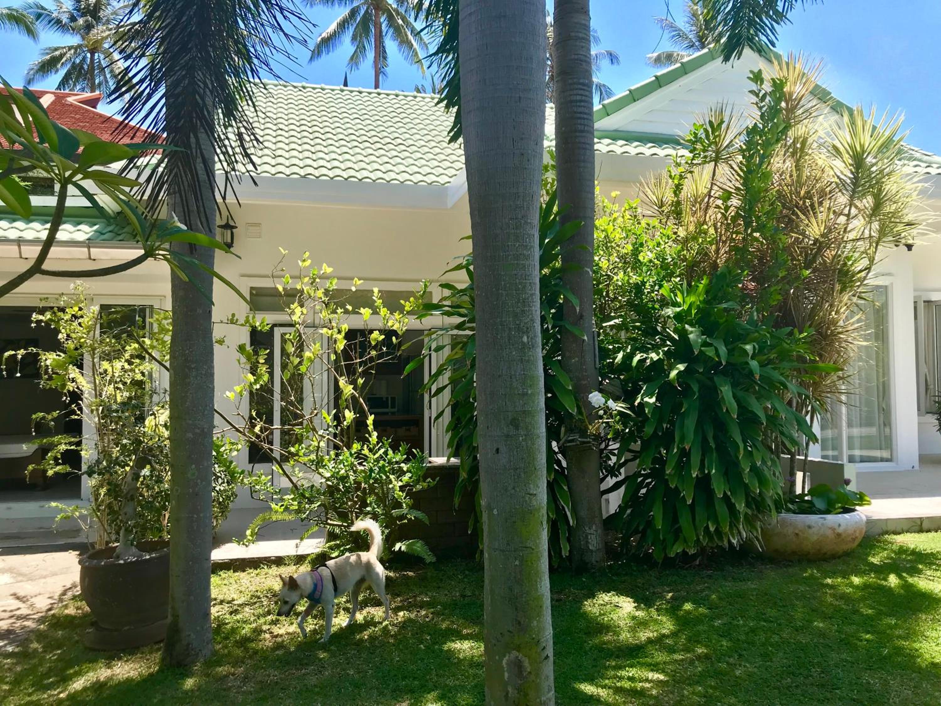 White House Near The Beach