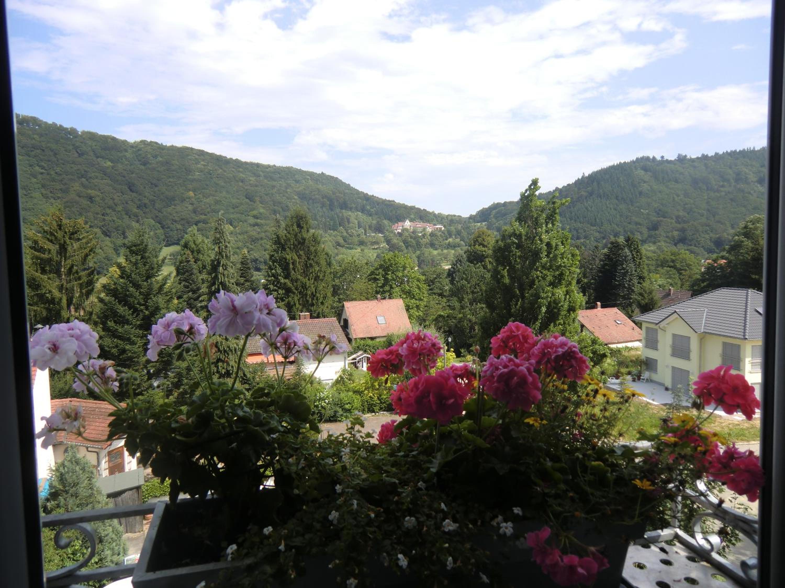 Haus Marija M