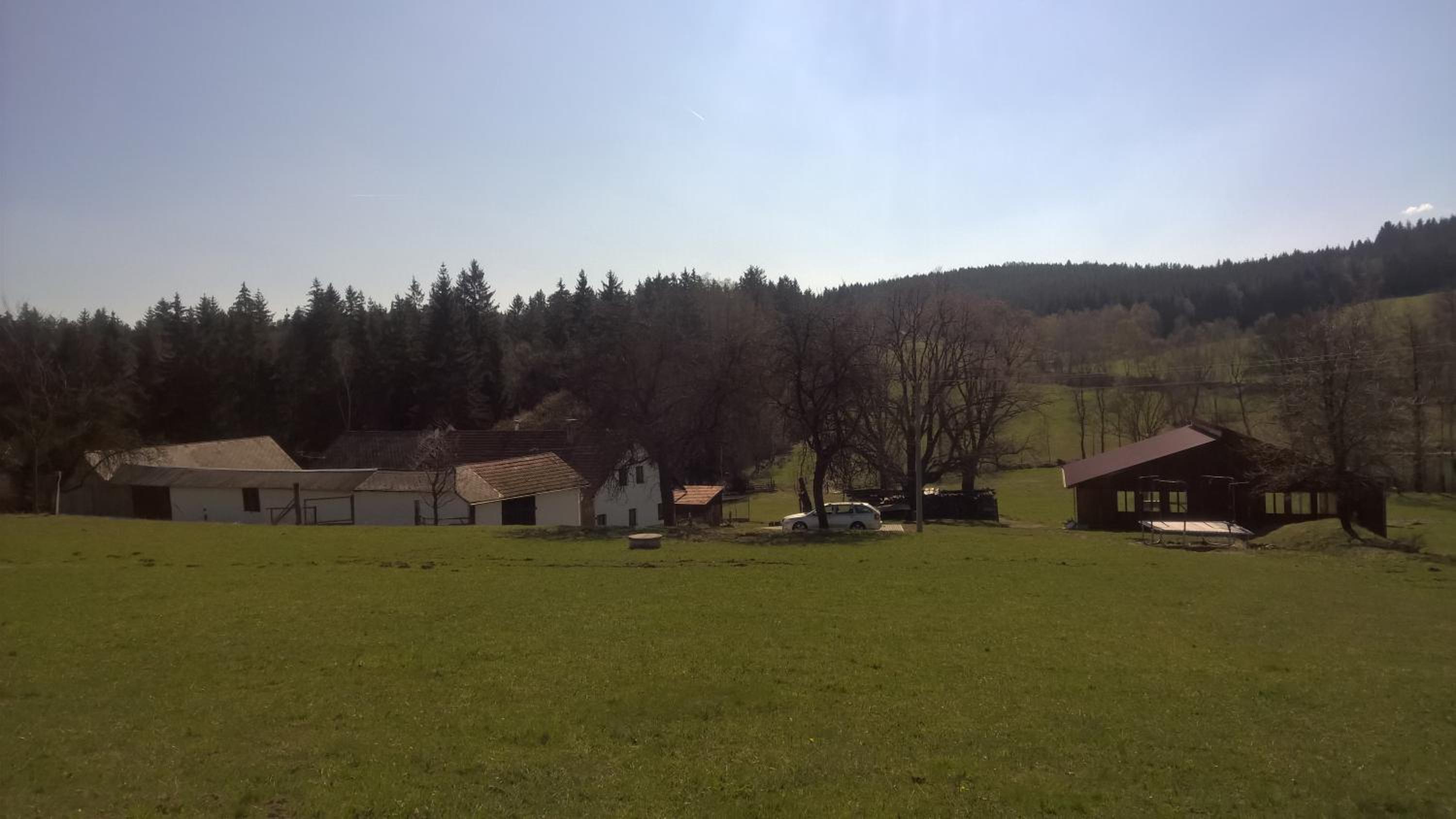 Photo 12