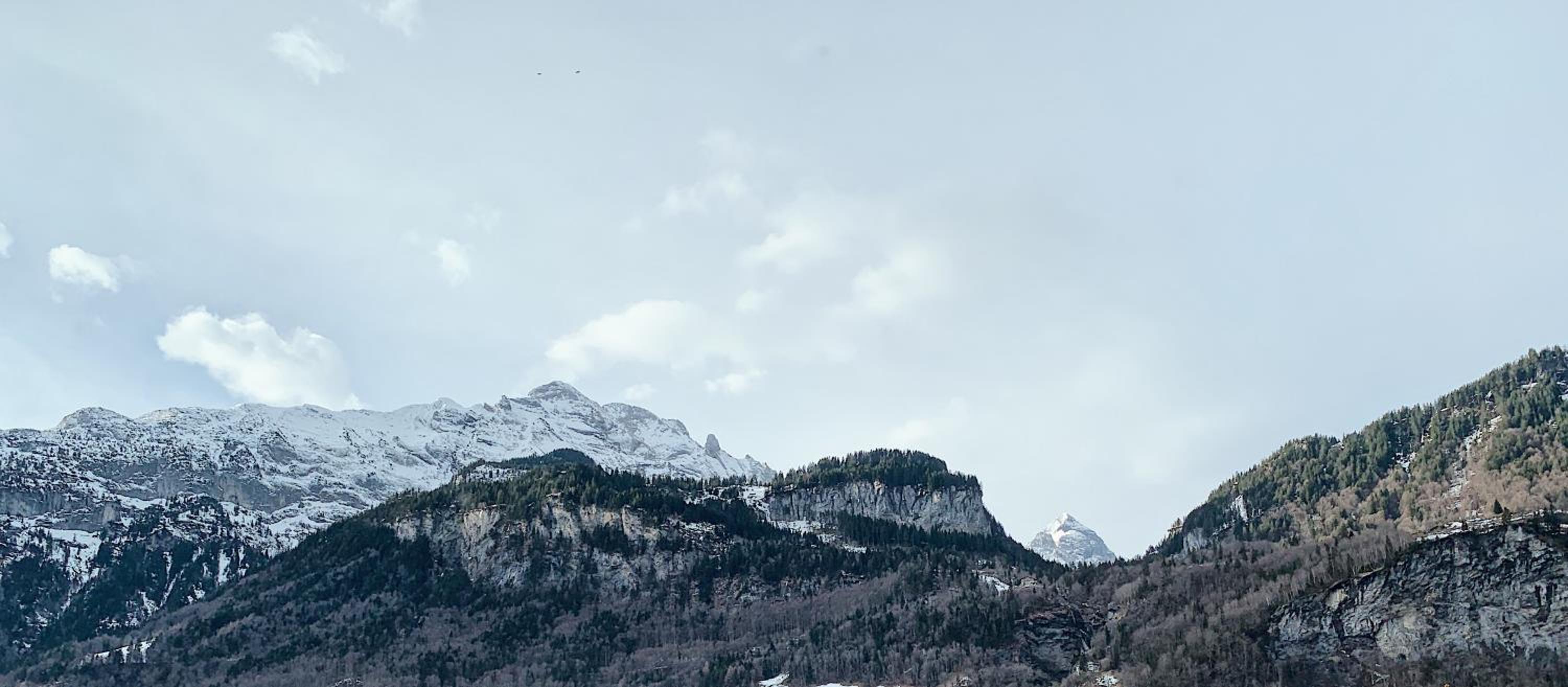 Ferienapartment Landhaus 4U Meiringen