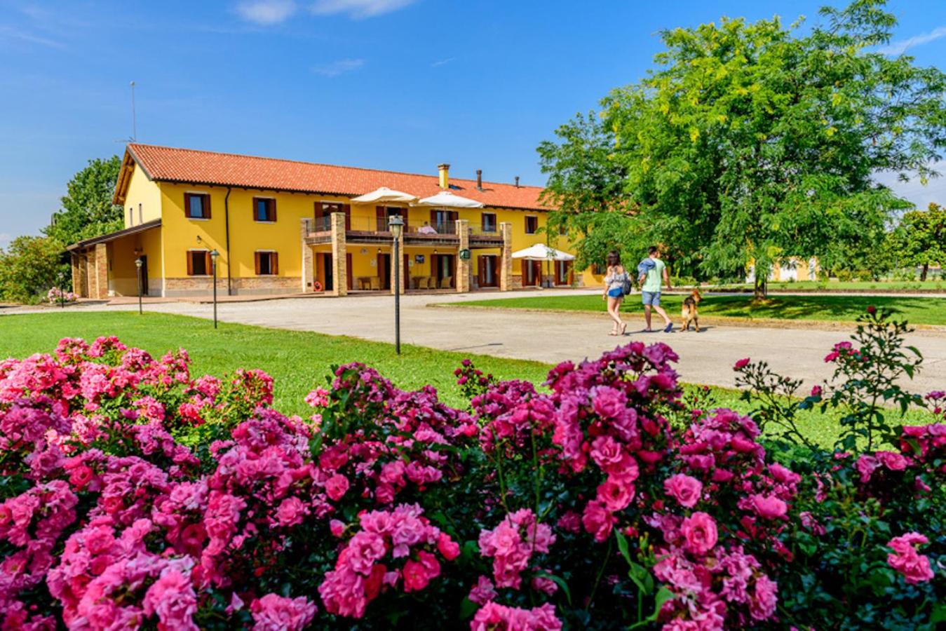 Agriturismo Tenuta Regina - Glamping luxury lodges and apartments