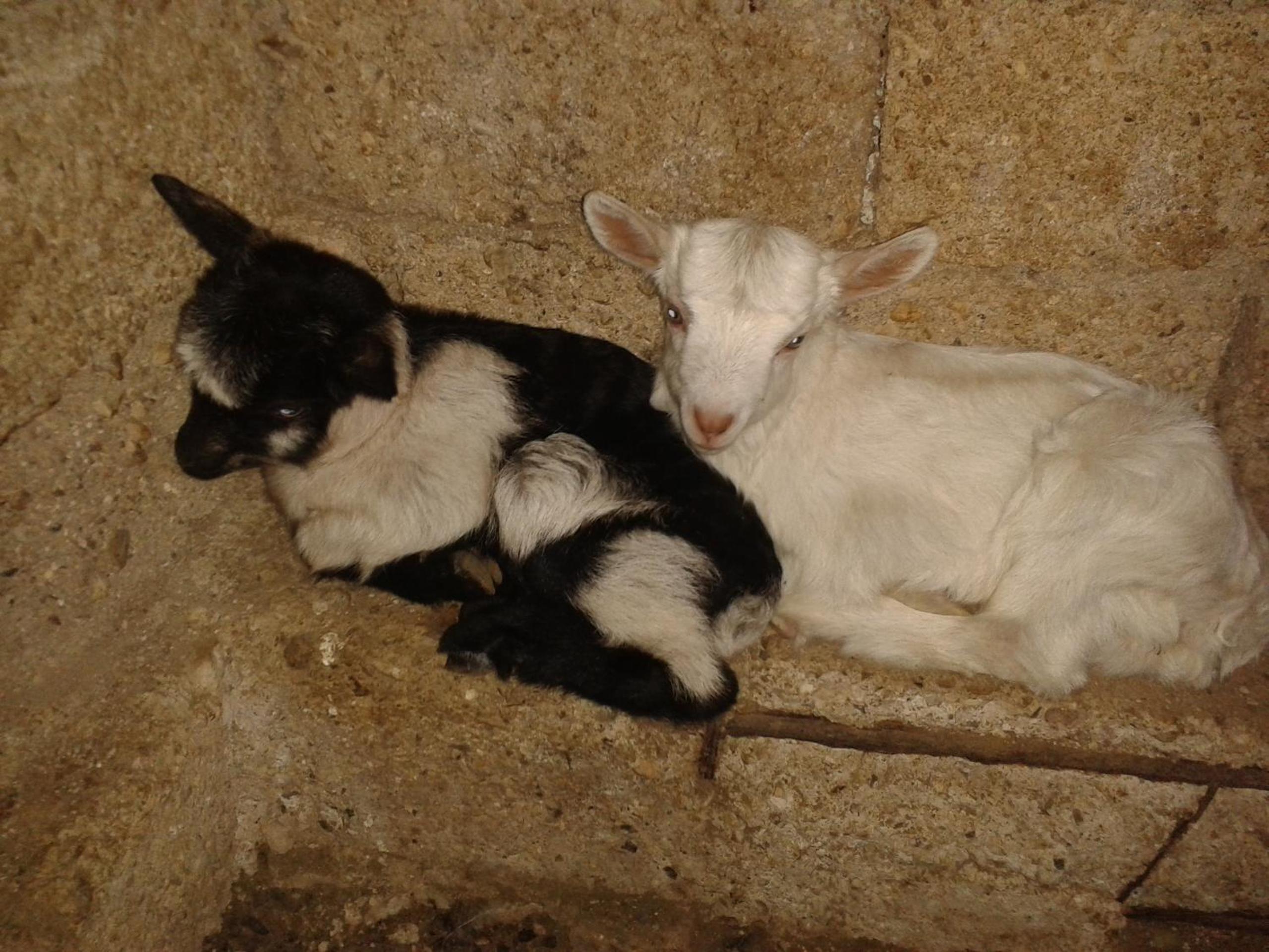 Agrotourism Himara