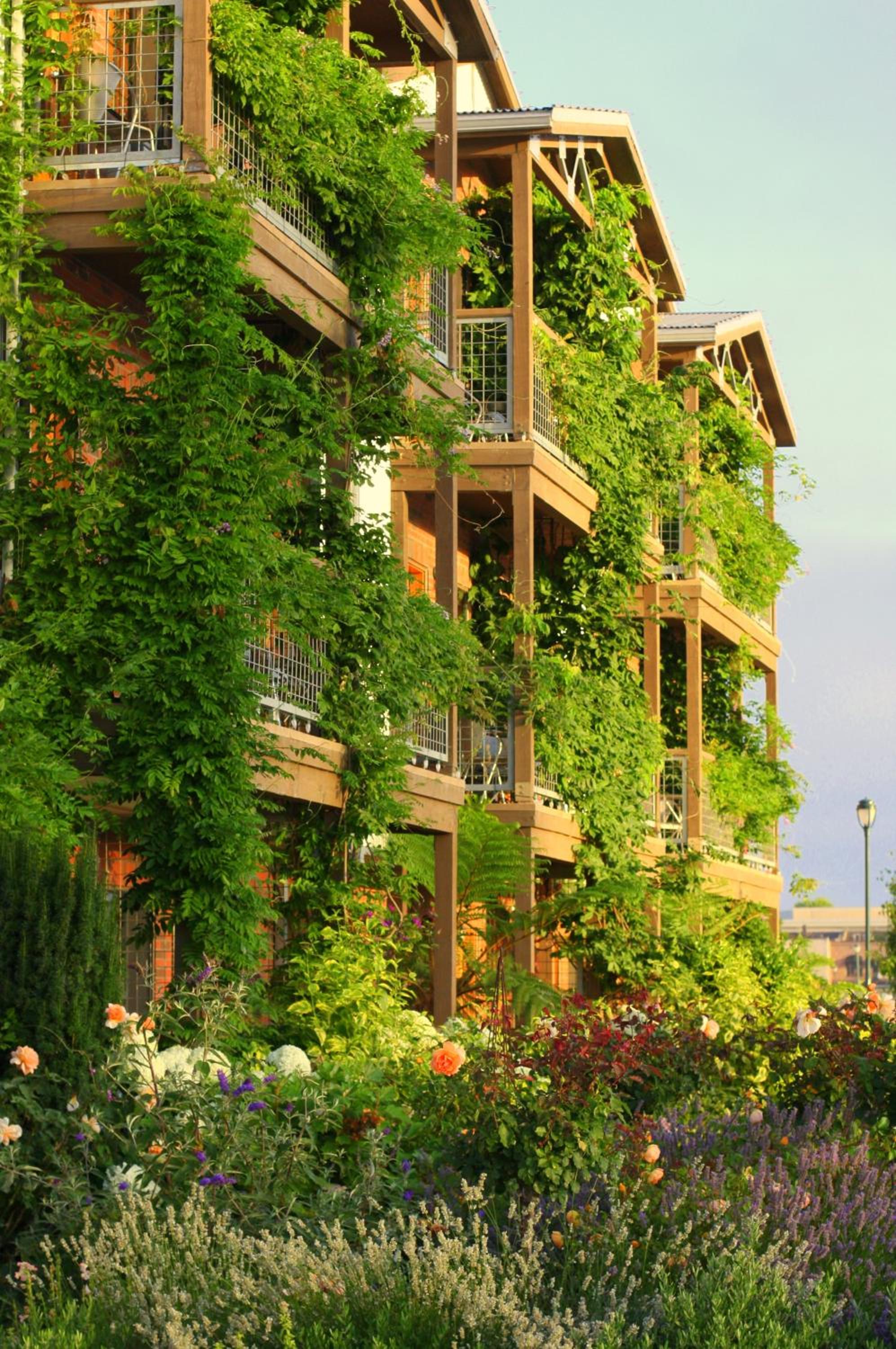 Maui Vacations - Napa River Inn - Property Image 44