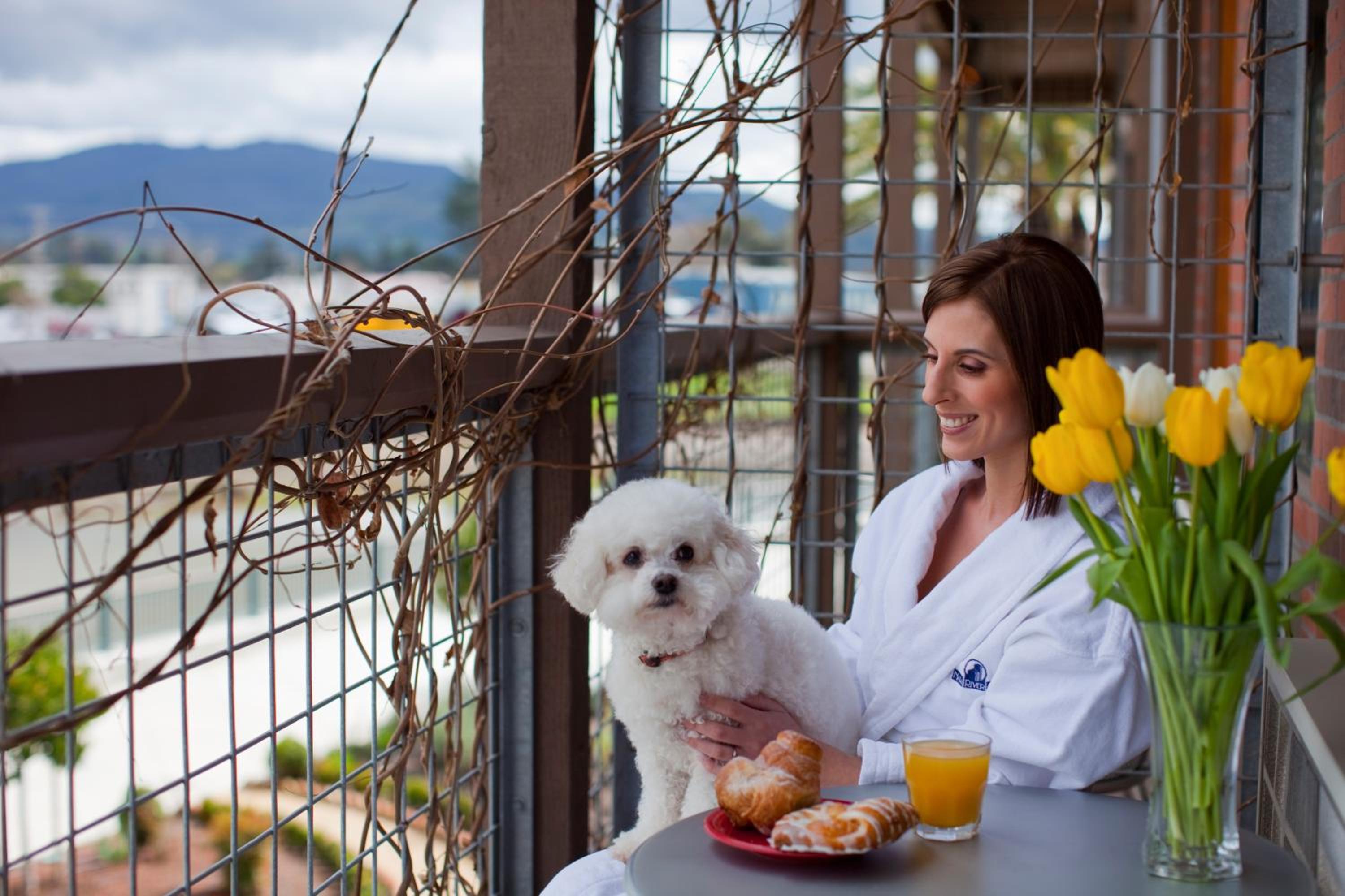 Maui Vacations - Napa River Inn - Property Image 3