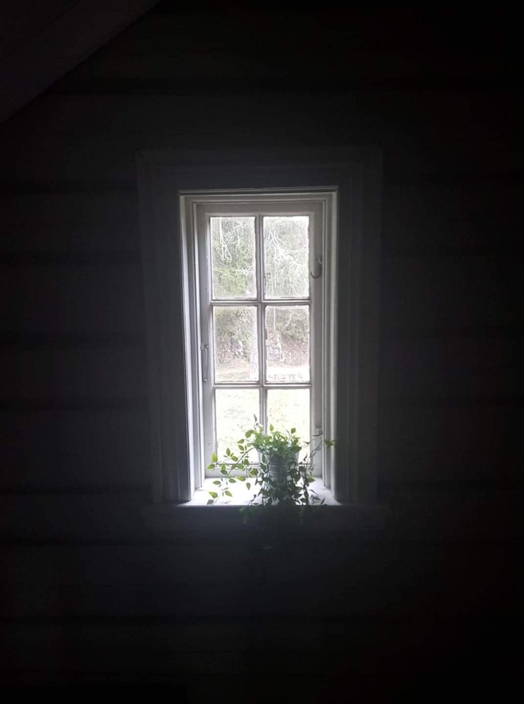 Photo 31
