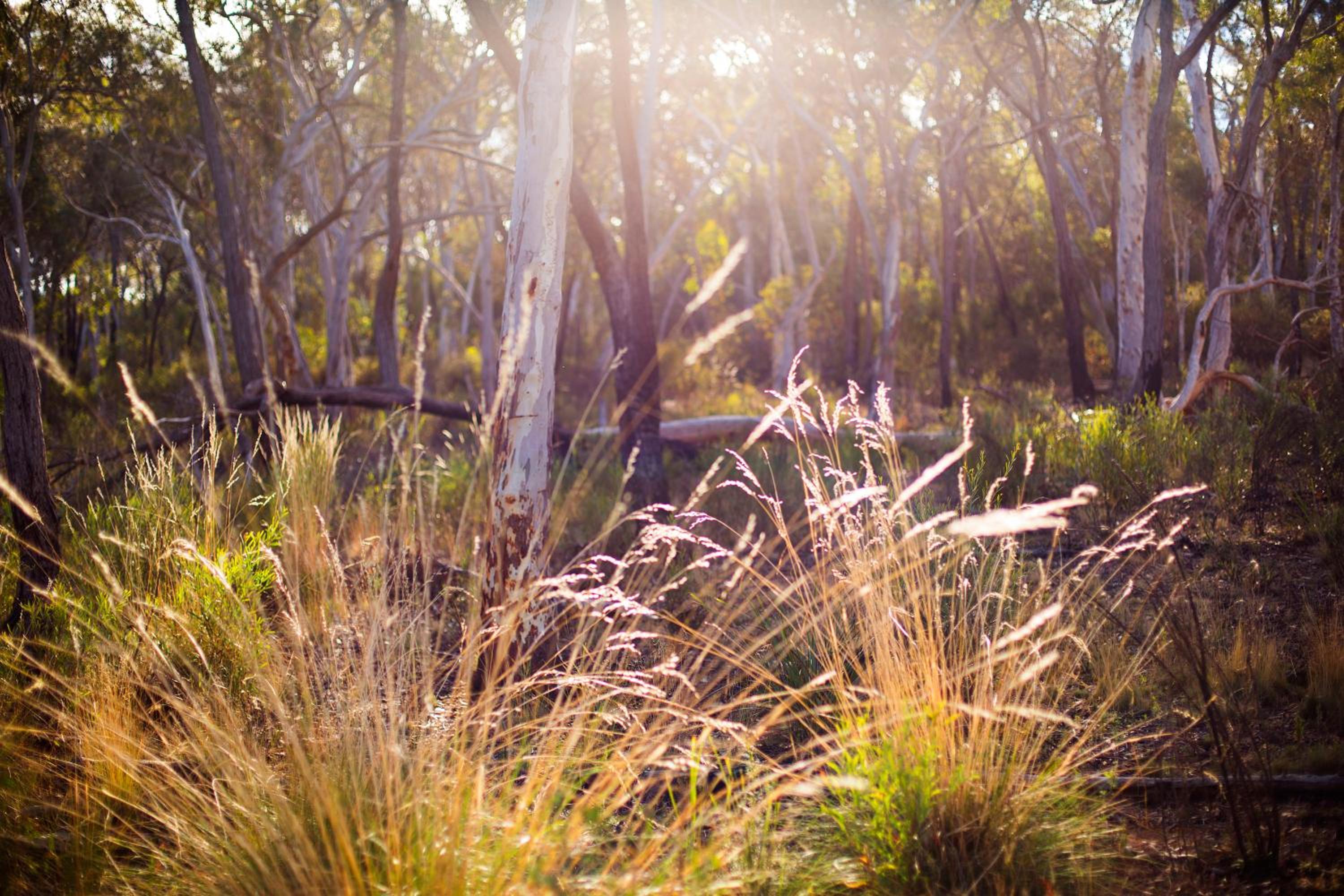 Alivio Tourist Park Canberra