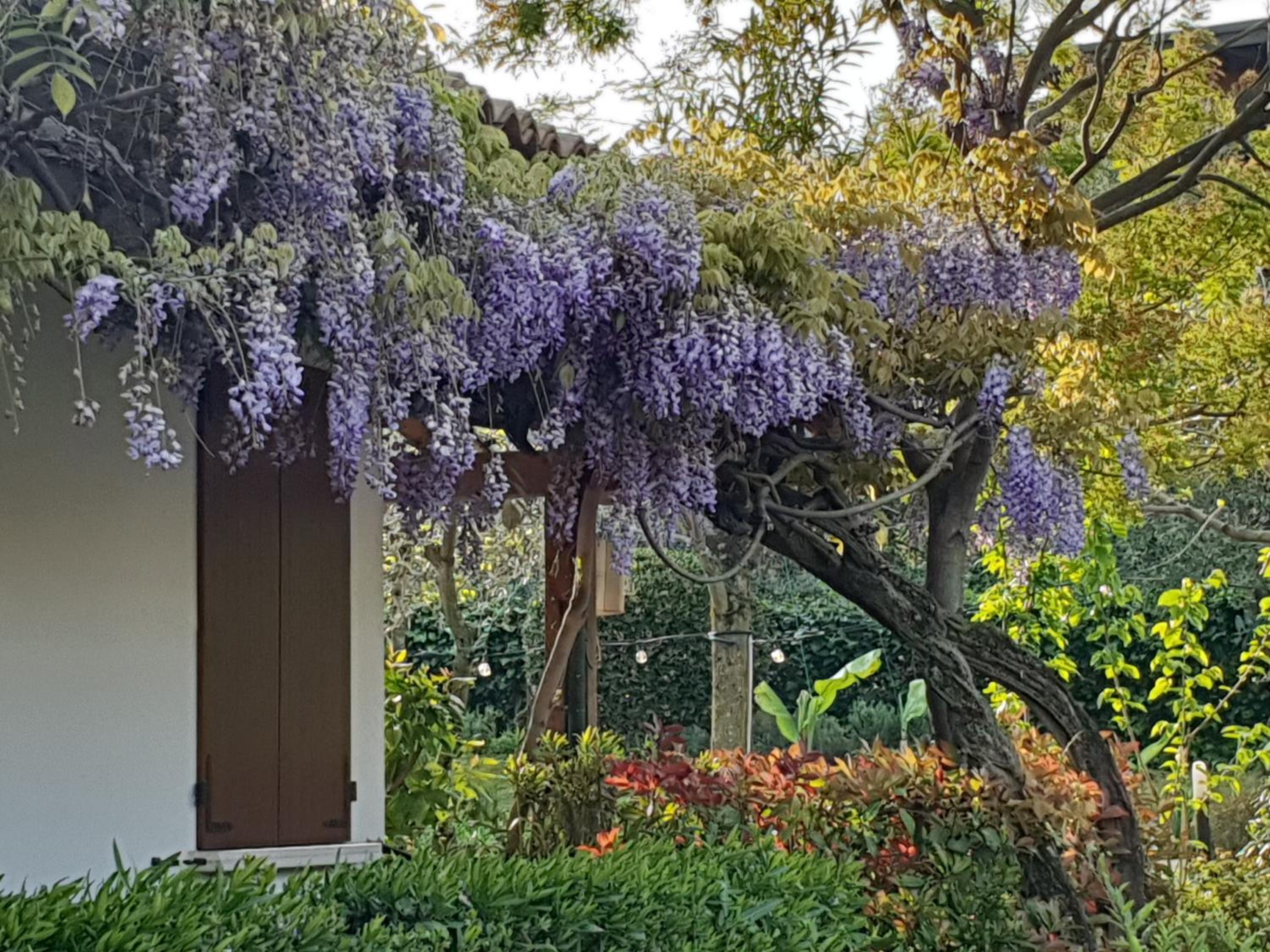 Locanda Da Vittorio