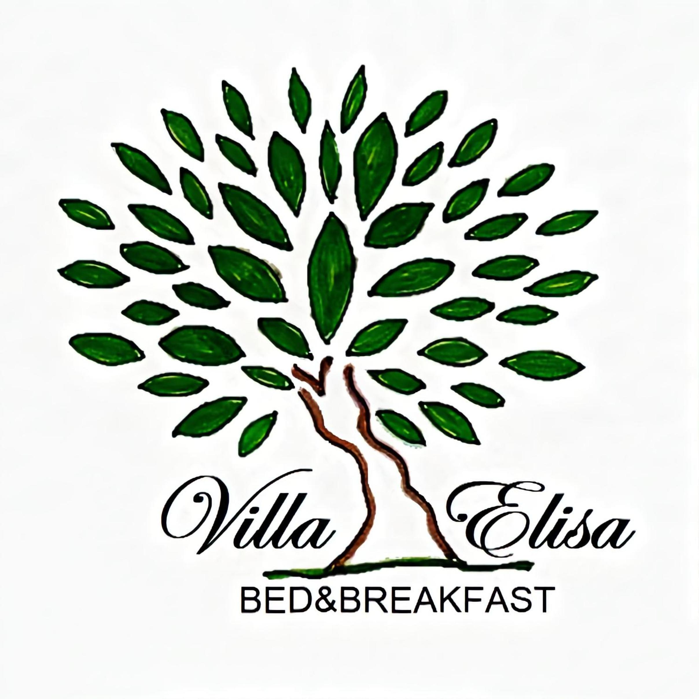 B&B Villa Elisa view 4