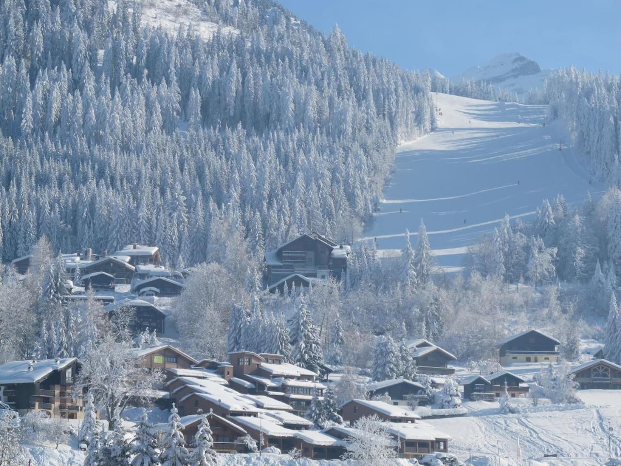 Chalet Les Trappeurs photo 2