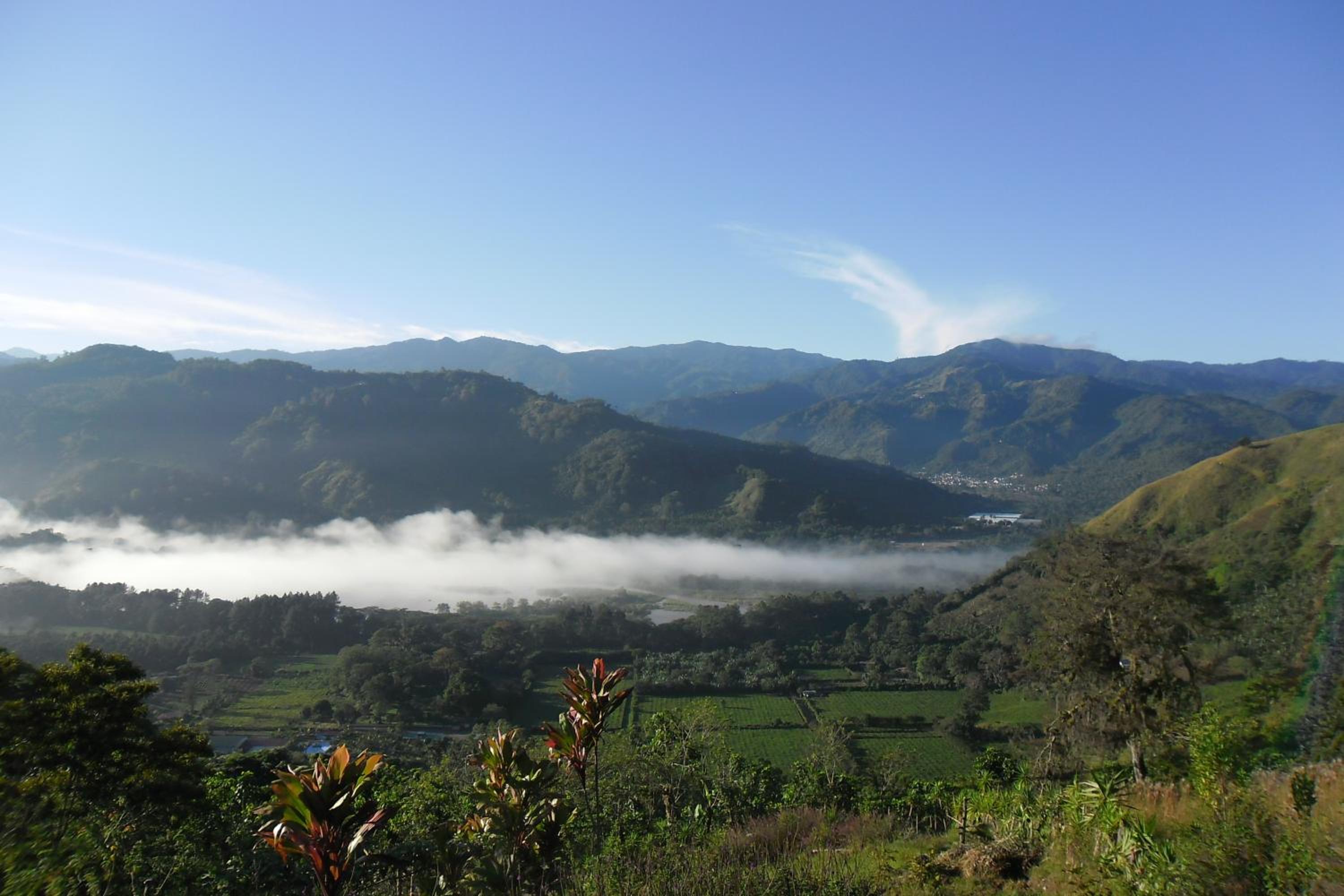 Rinconcito Verde