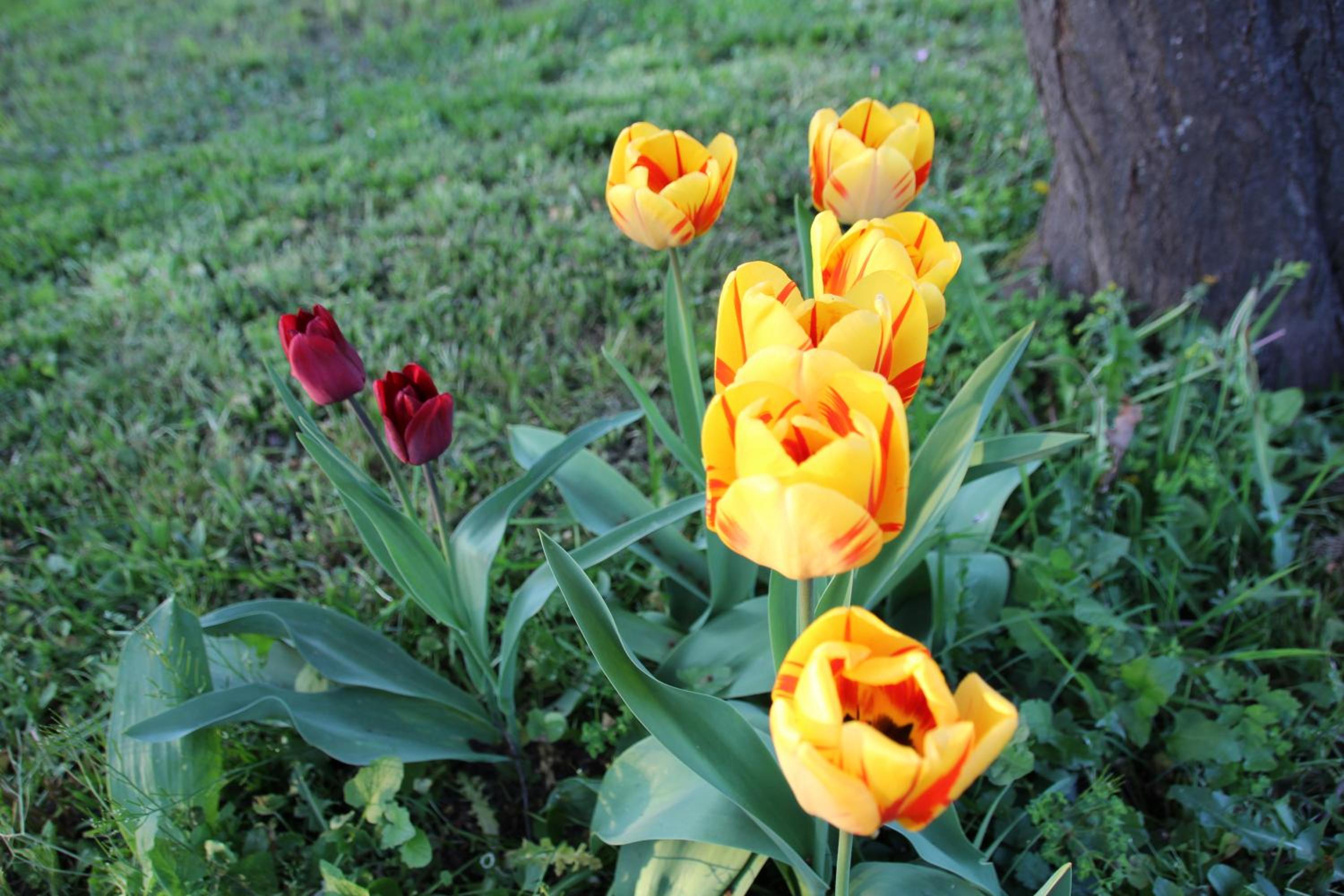 Photo 20