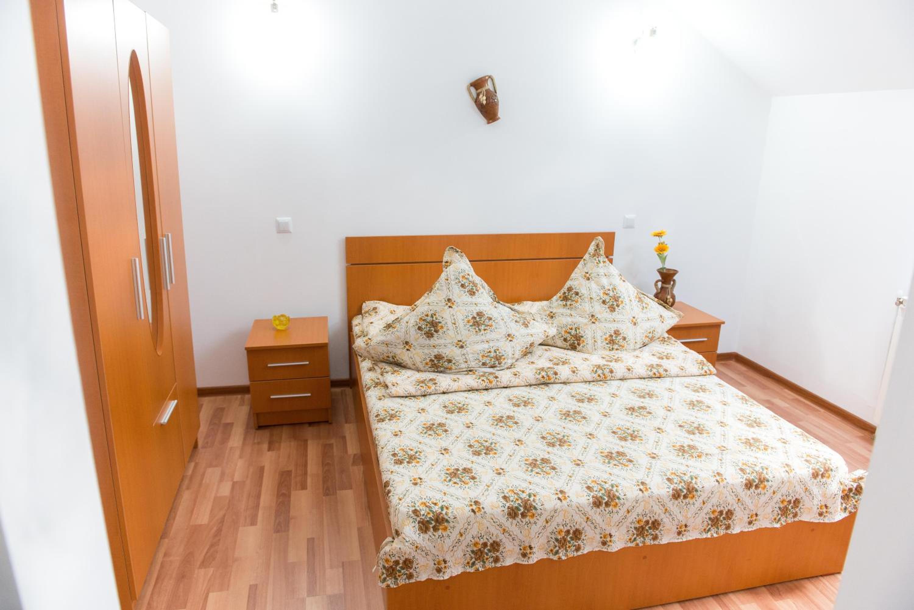 Casa Andreea view 2