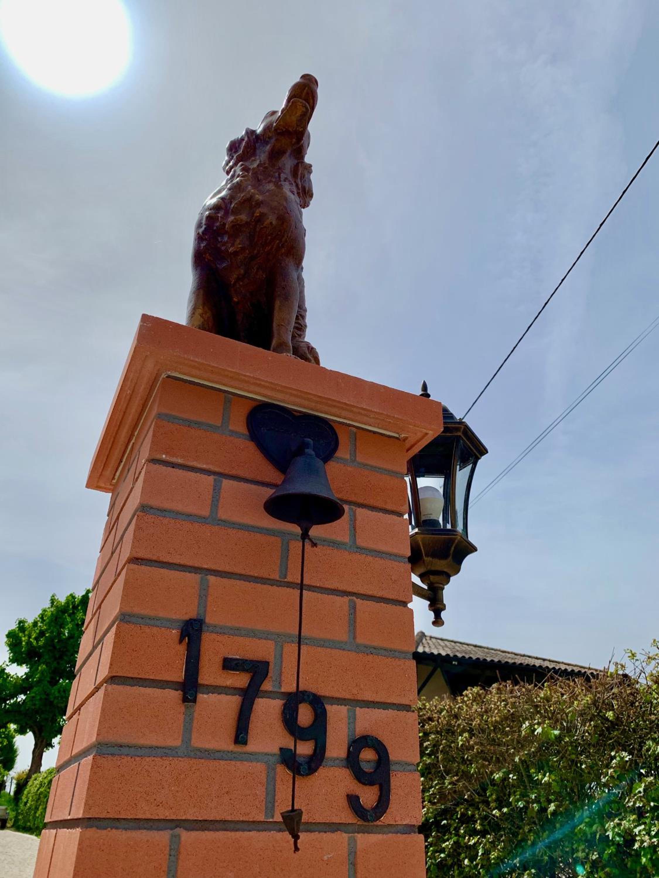 Photo 28