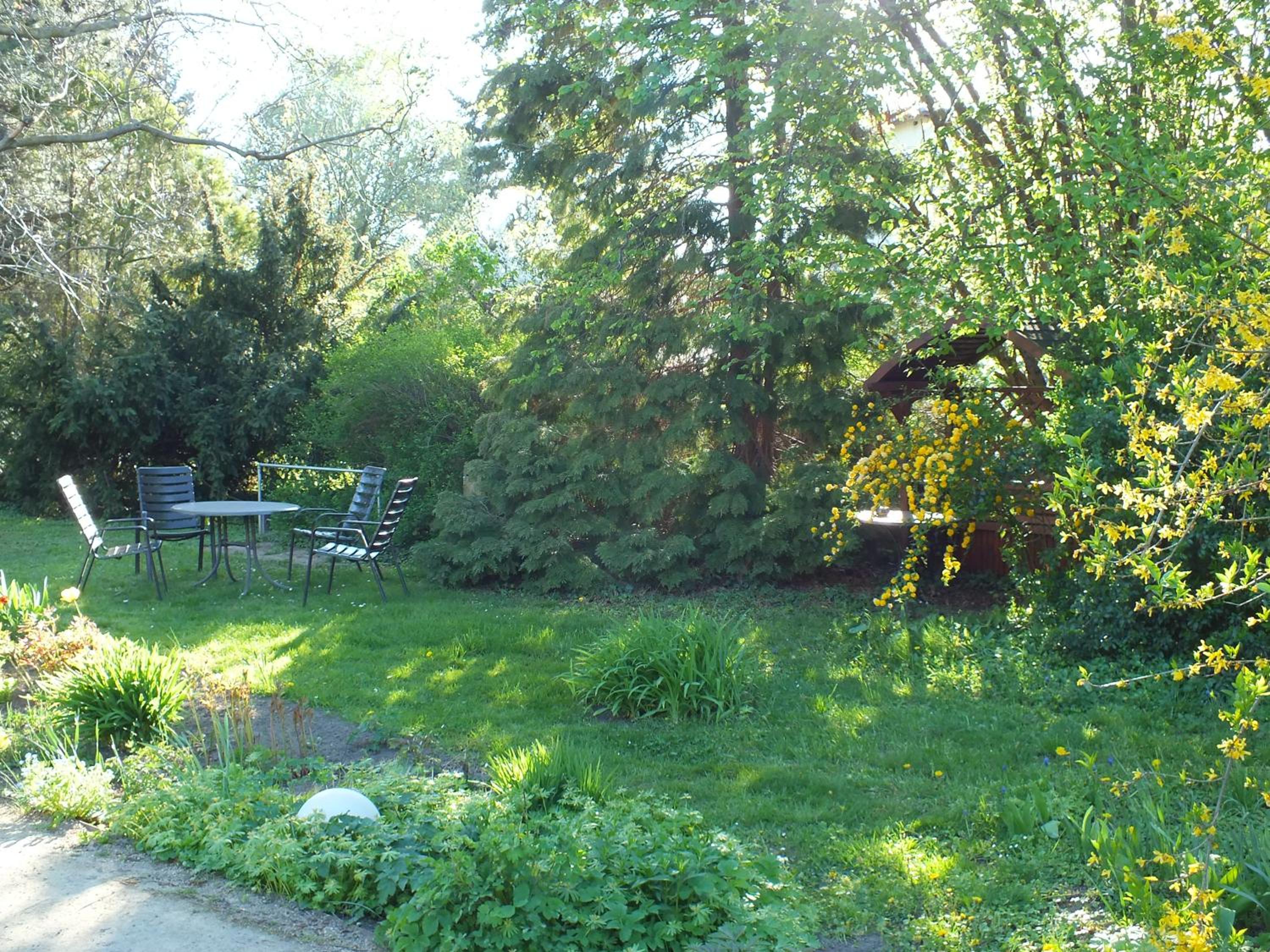 Photo 48