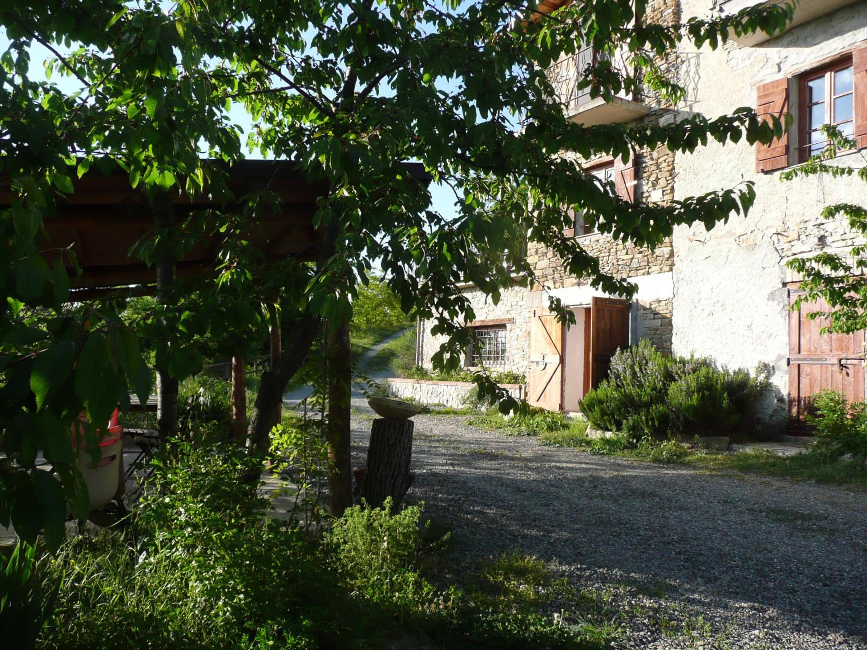 Photo 8