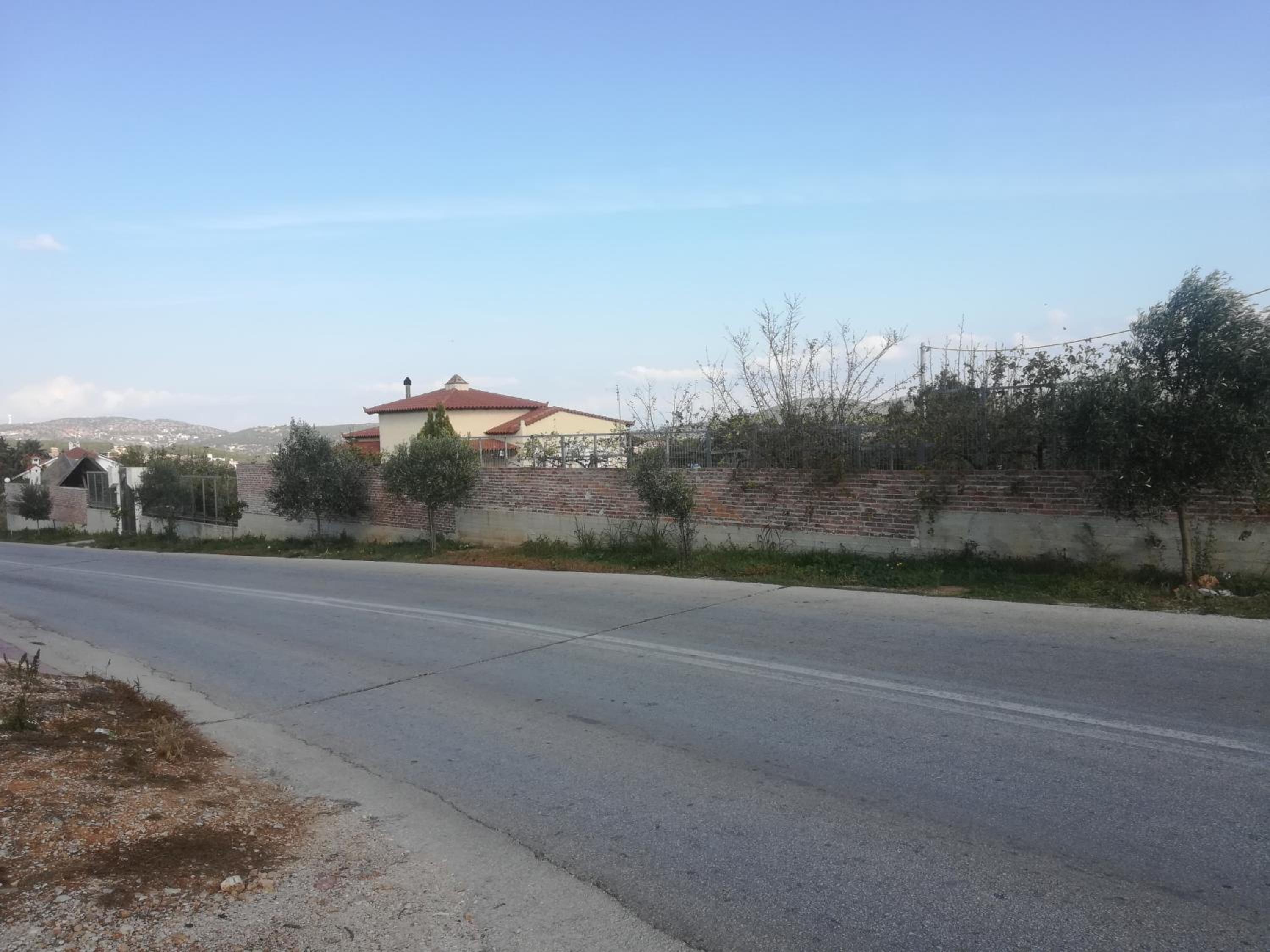 Photo 43