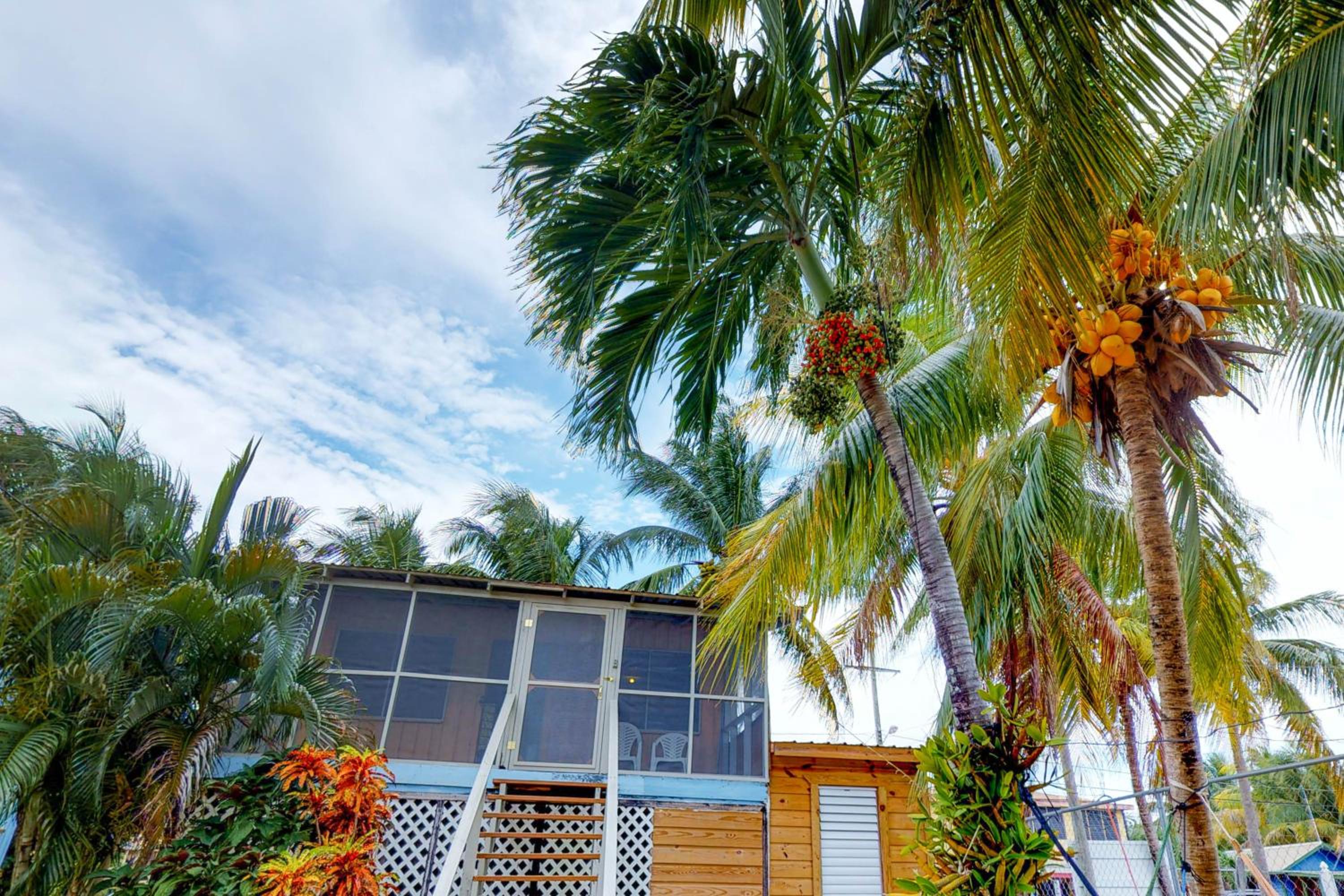 Carol's Cabanas