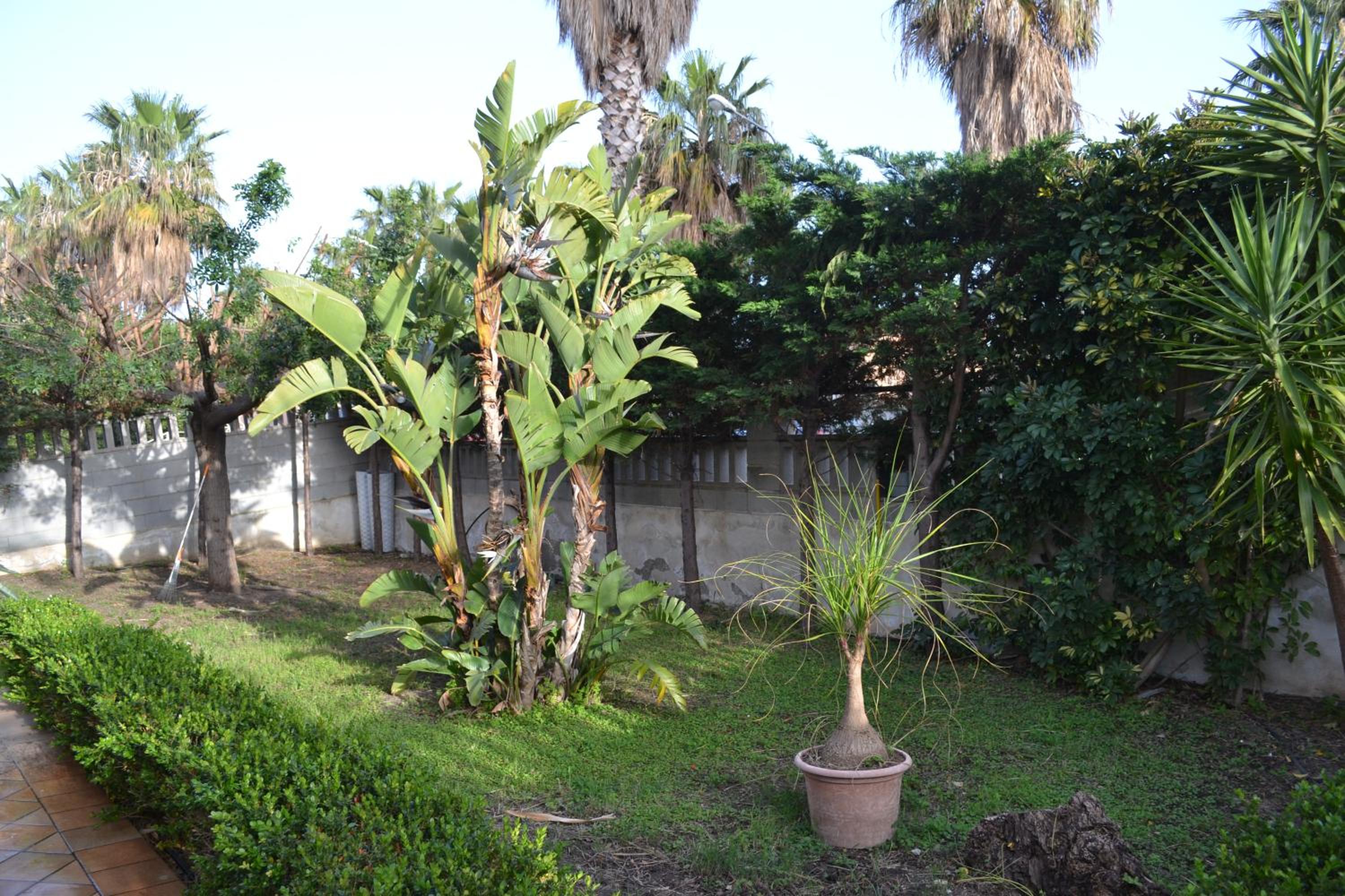 Photo 49