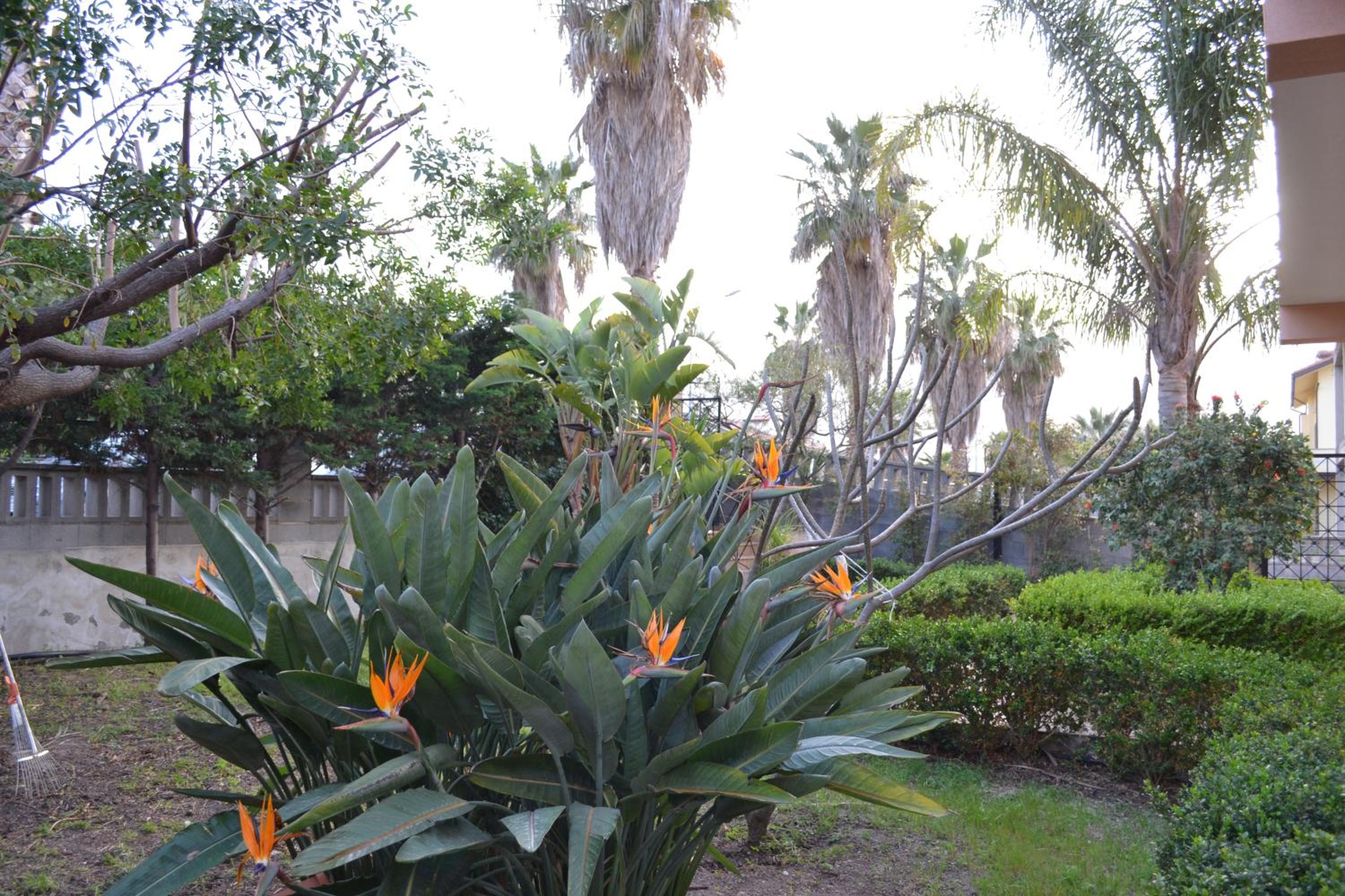 Photo 52