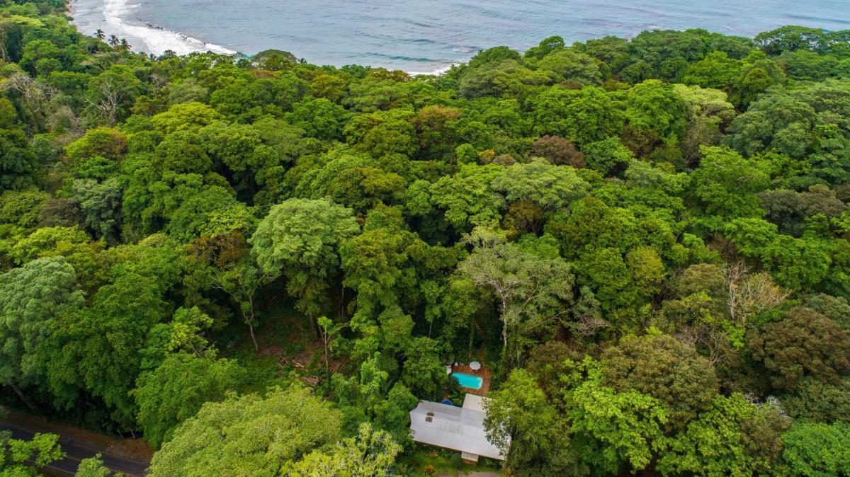 Casa Cerise Beachfront