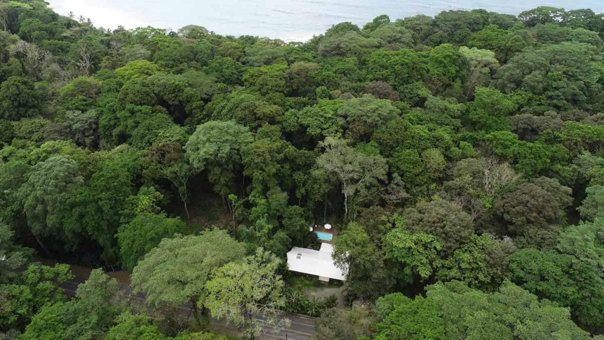 Casa Cerise Beachfront